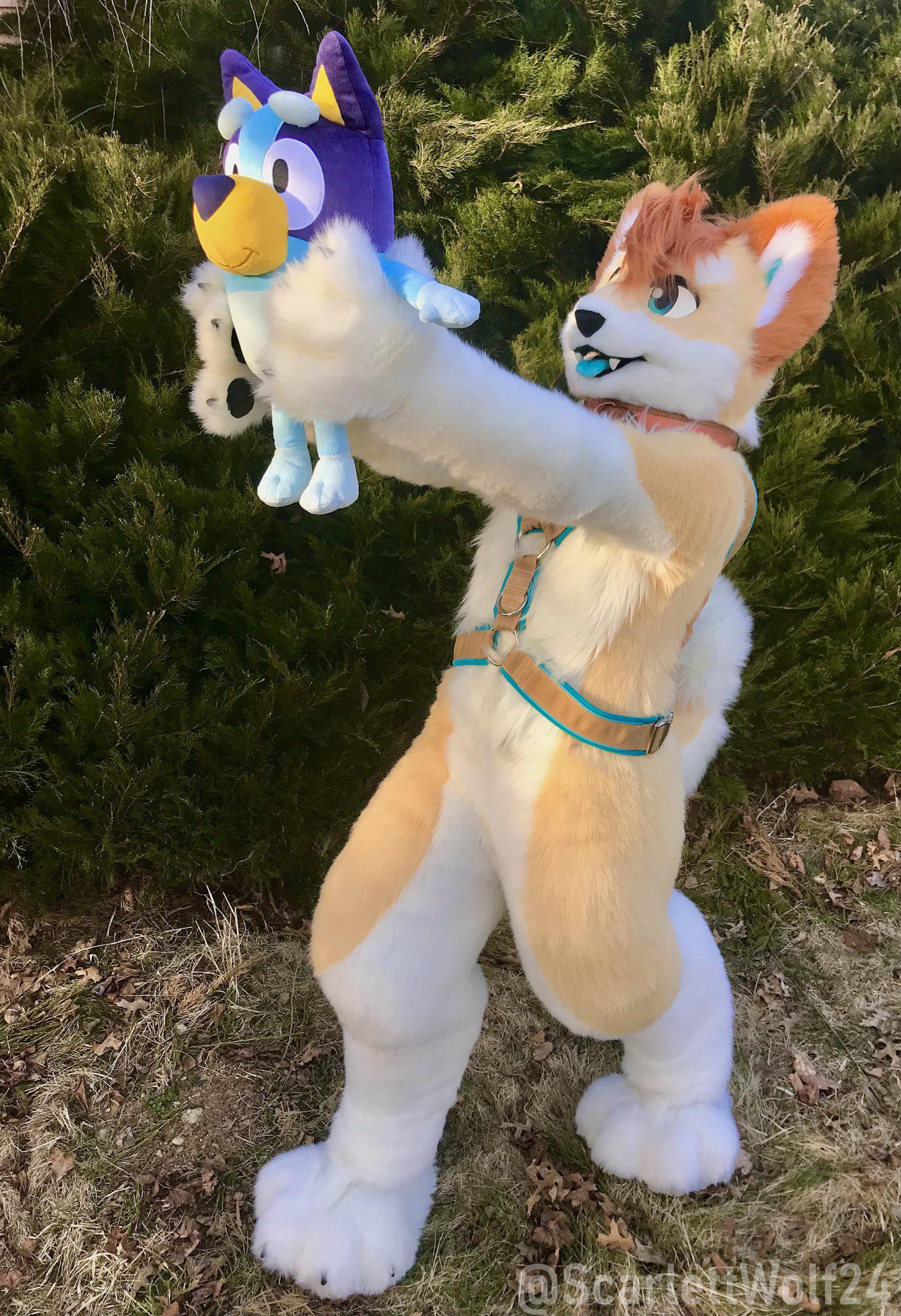 787 best r/fursuit images on Pholder Told my friend I was a furry