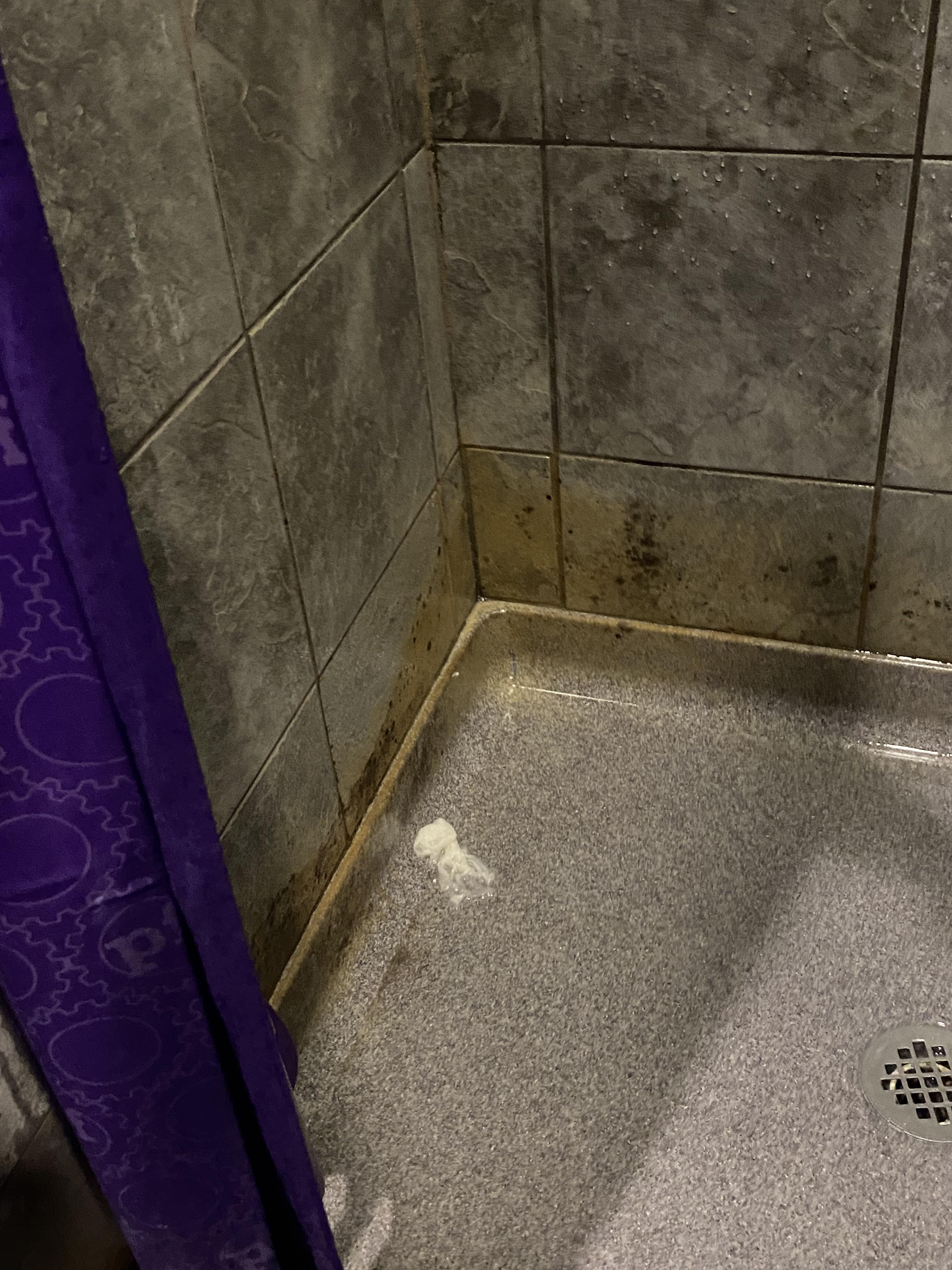 Whats growing on walls at Fitness Hudson, NY? 🤮🤢