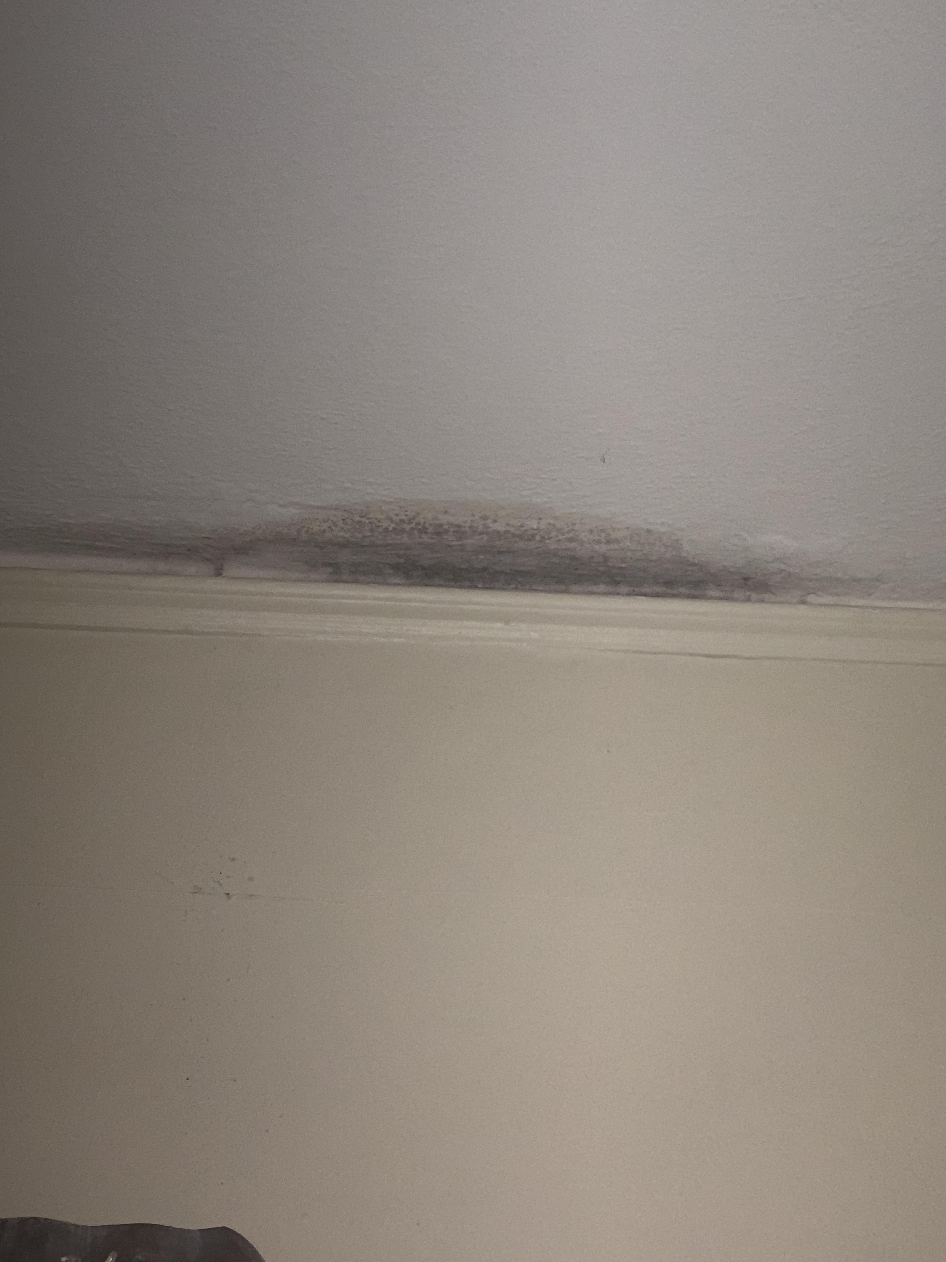Is this mold on my bedroom ceiling? Would explain why my allergies have