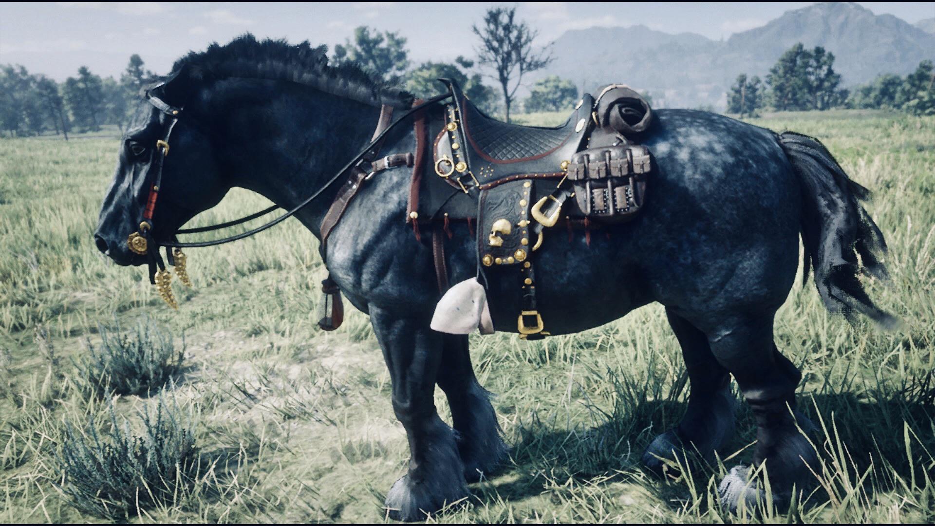 Steel Grey Breton r/reddeadredemption