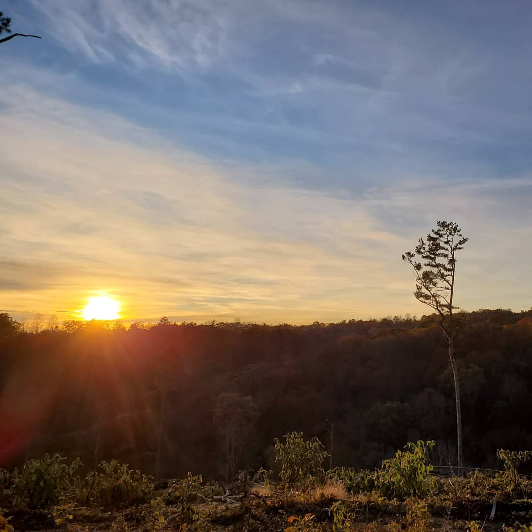 Camping for the first time in years r/infp
