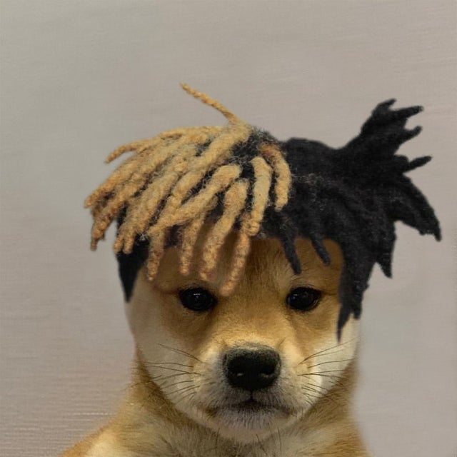 Dogetentacion r/XXXTENTACION