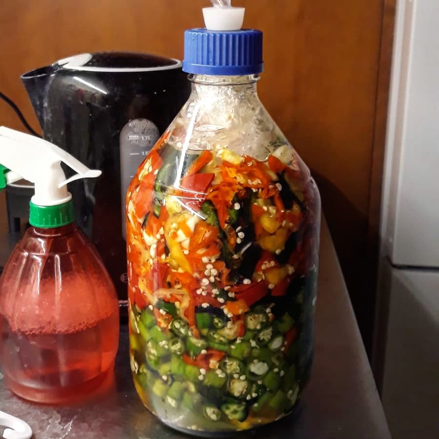 First shot at a fermented hot sauce r/FermentedHotSauce