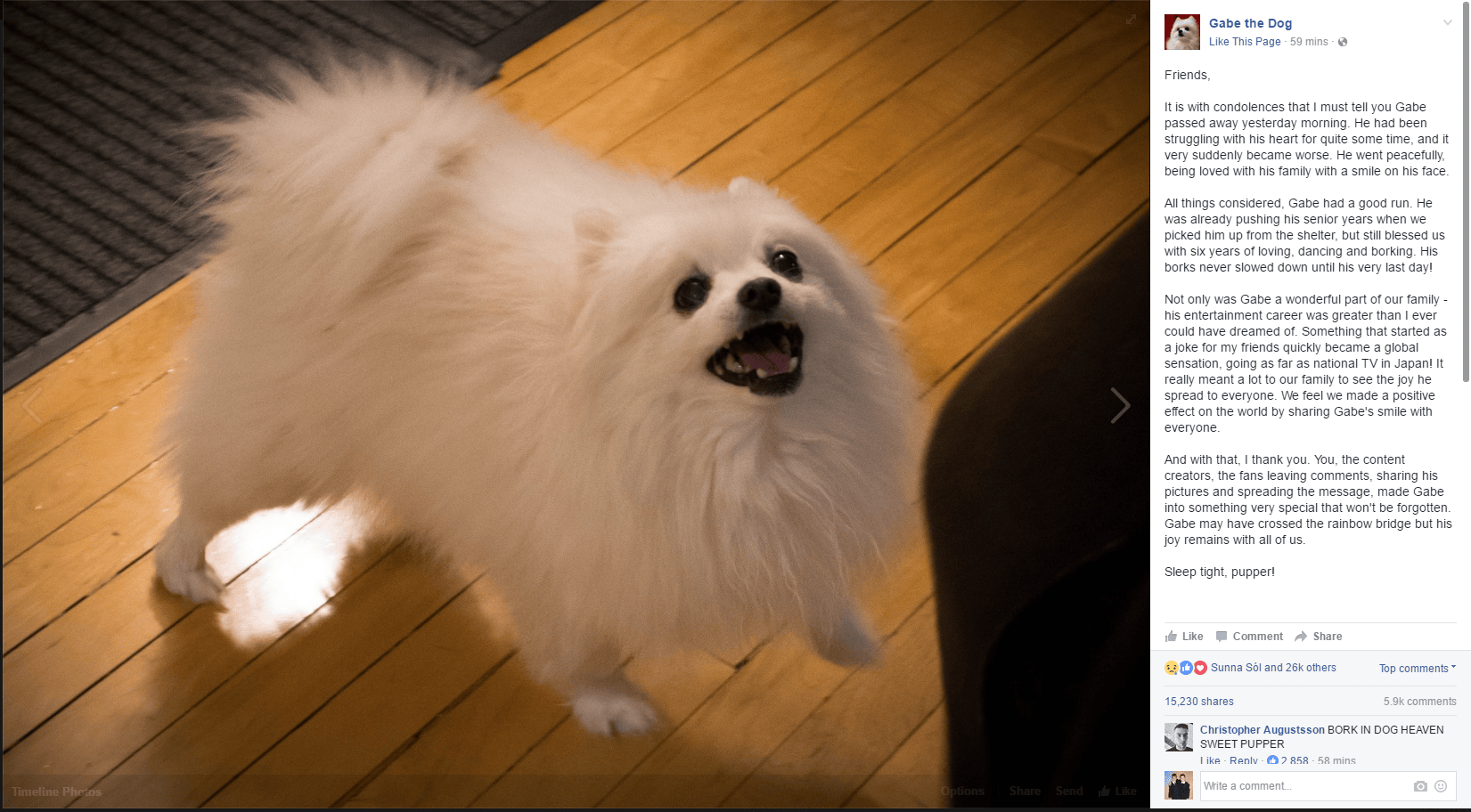 Gabe The Dog just passed away, Can we have a moment of silence for one