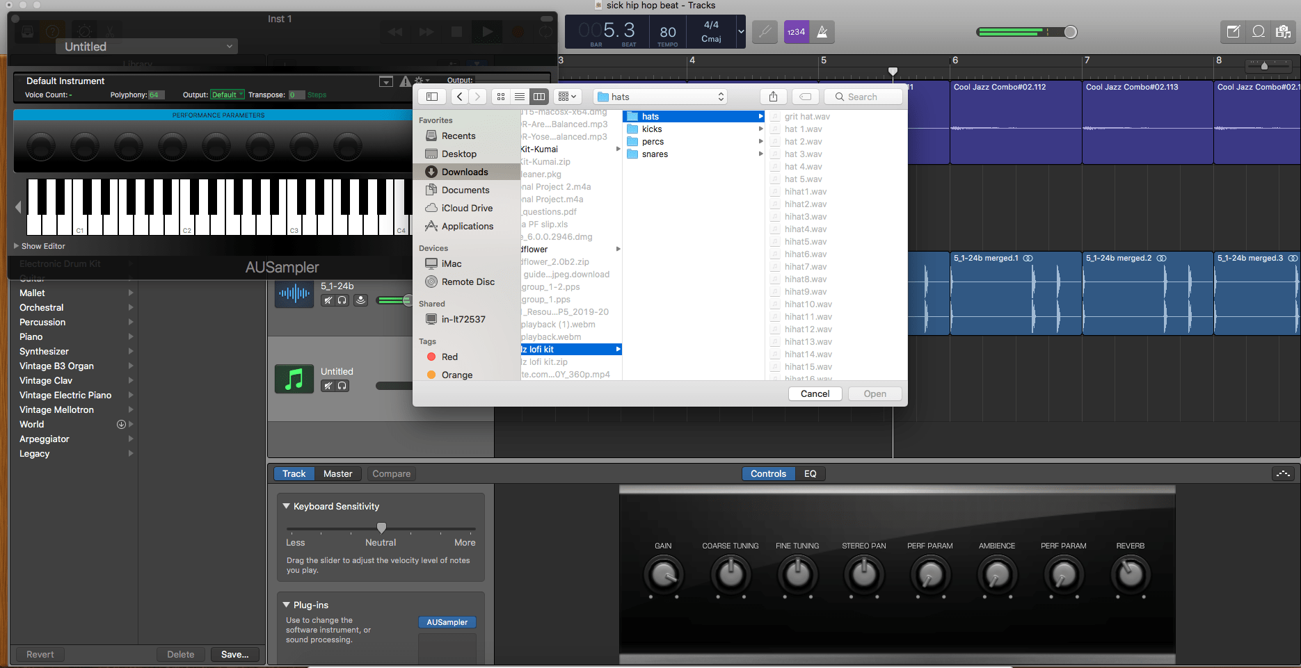 Issues with AU sampler r/GarageBand