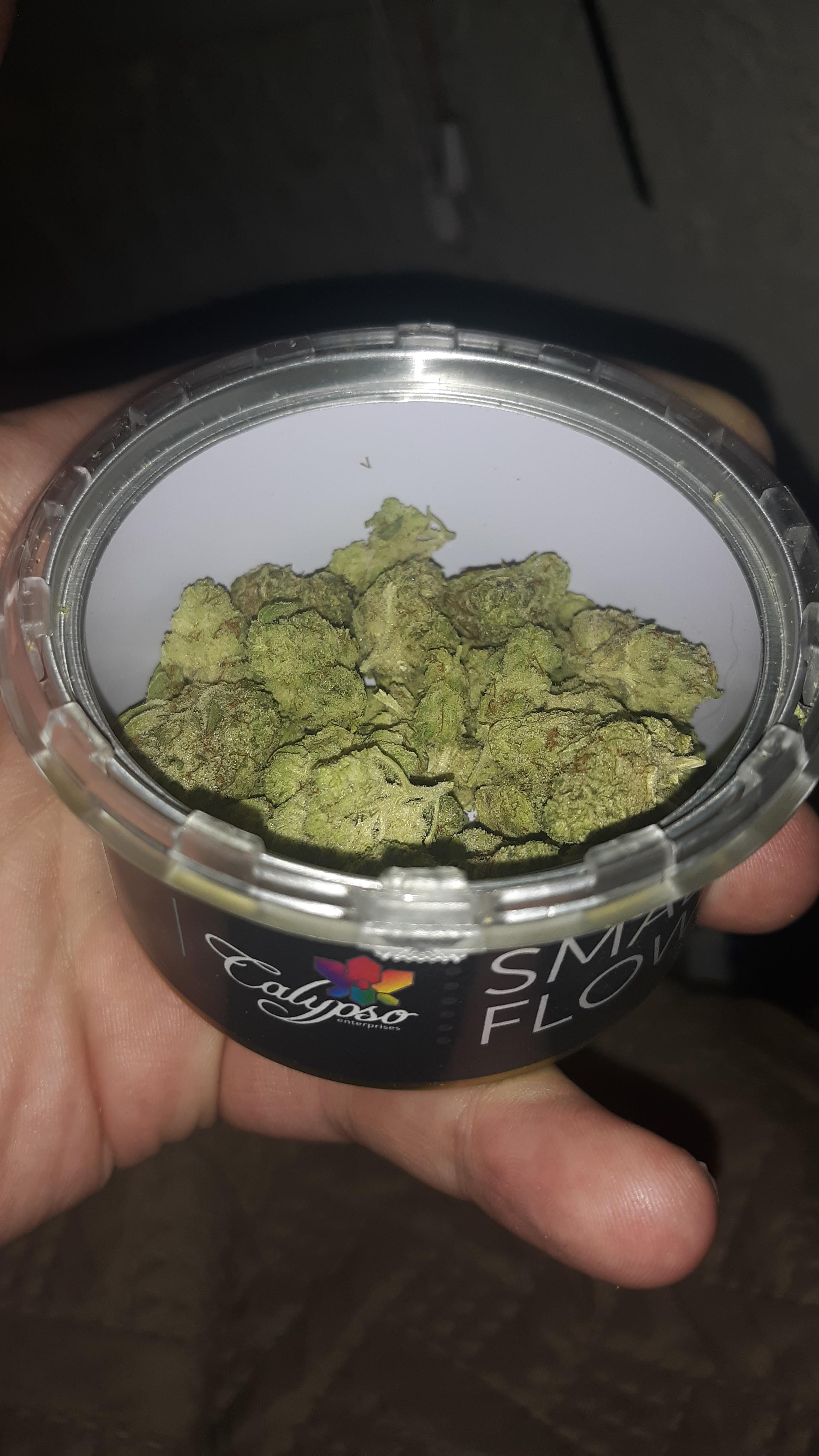 Cheesewreck from Calypso (rough cut) nice sativa ) r/PaMedicalMarijuana