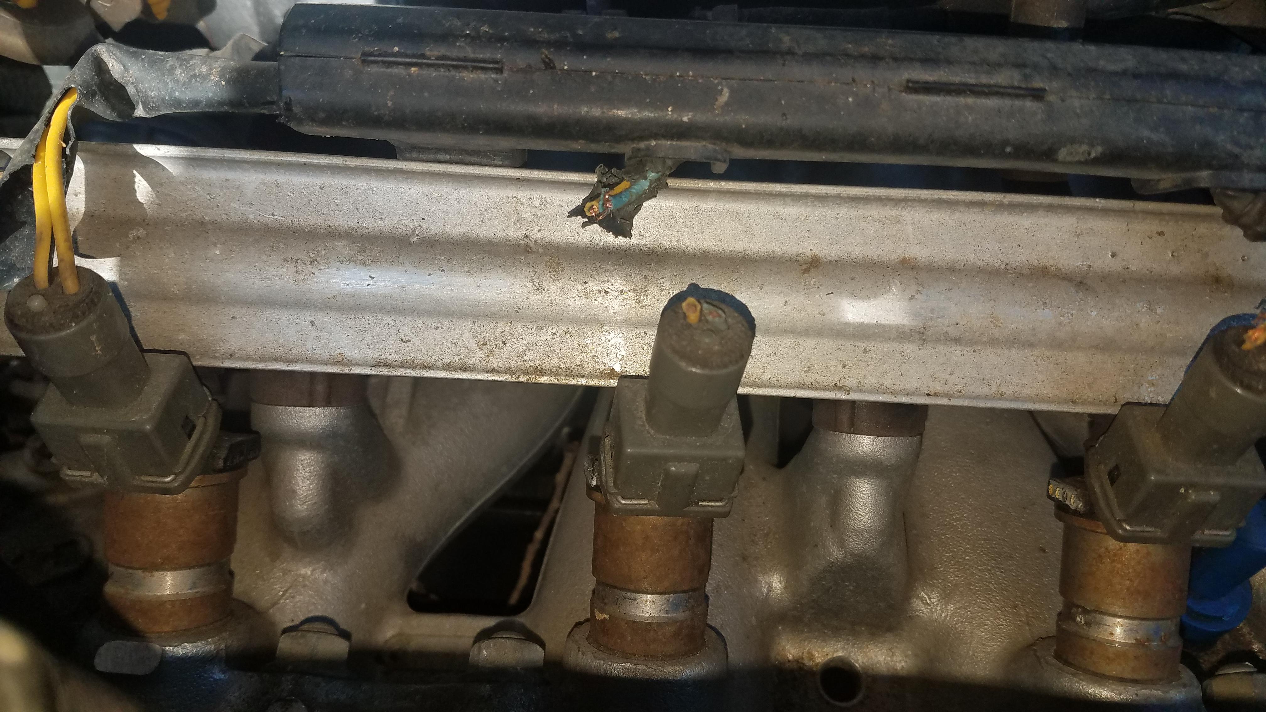 Easiest way to fix chewed wires? Squirrel chewed up my fuel injector