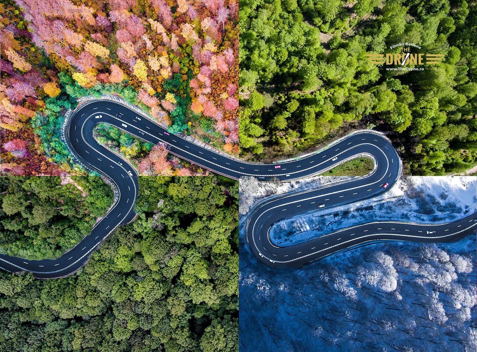 One Road Four Seasons r/oddlysatisfying