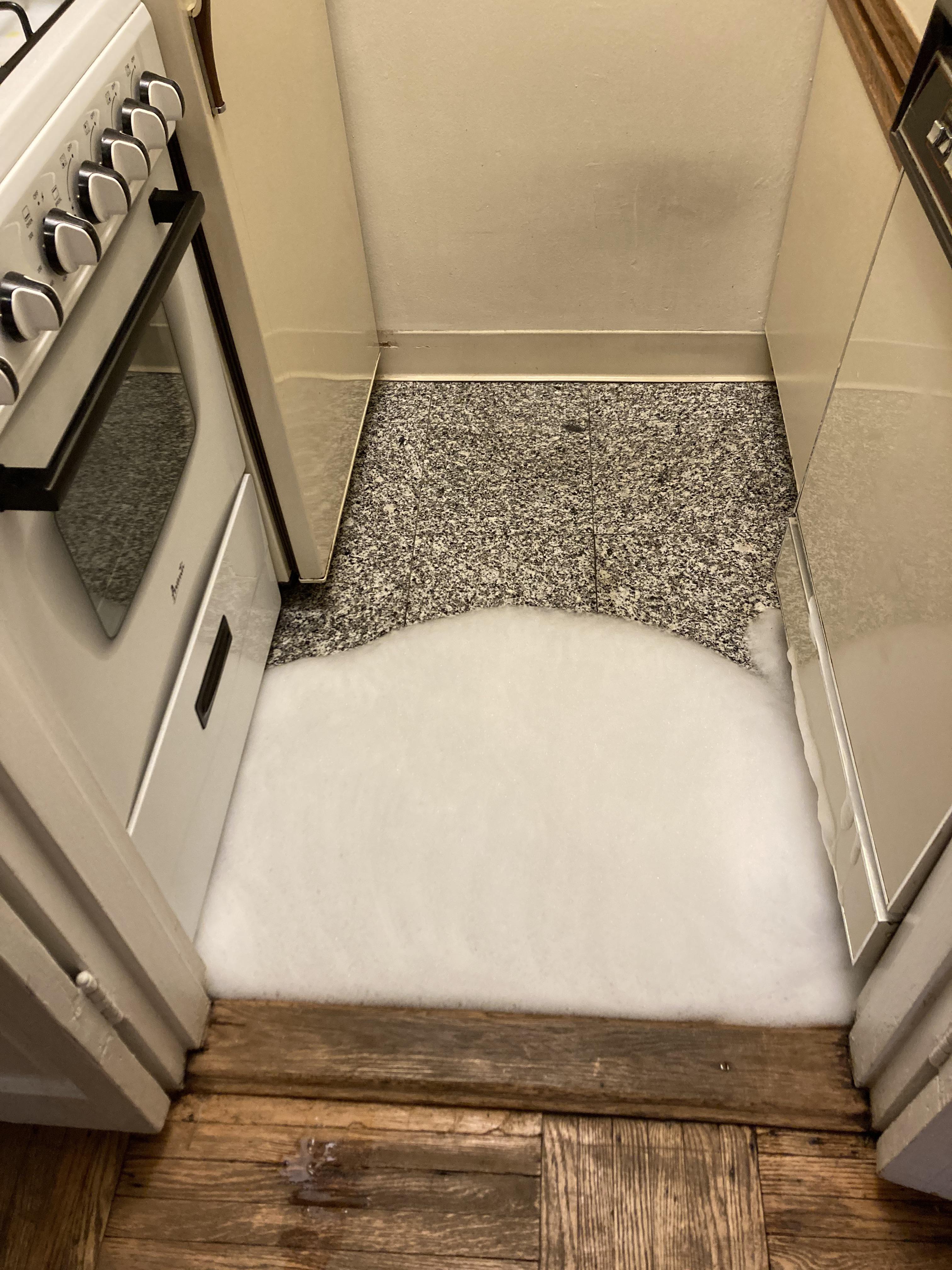 The dishwasher at my Airbnb leaked. r/Wellthatsucks