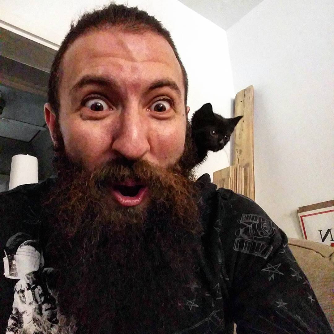 The tiniest of shoulder cats. r/shouldercats