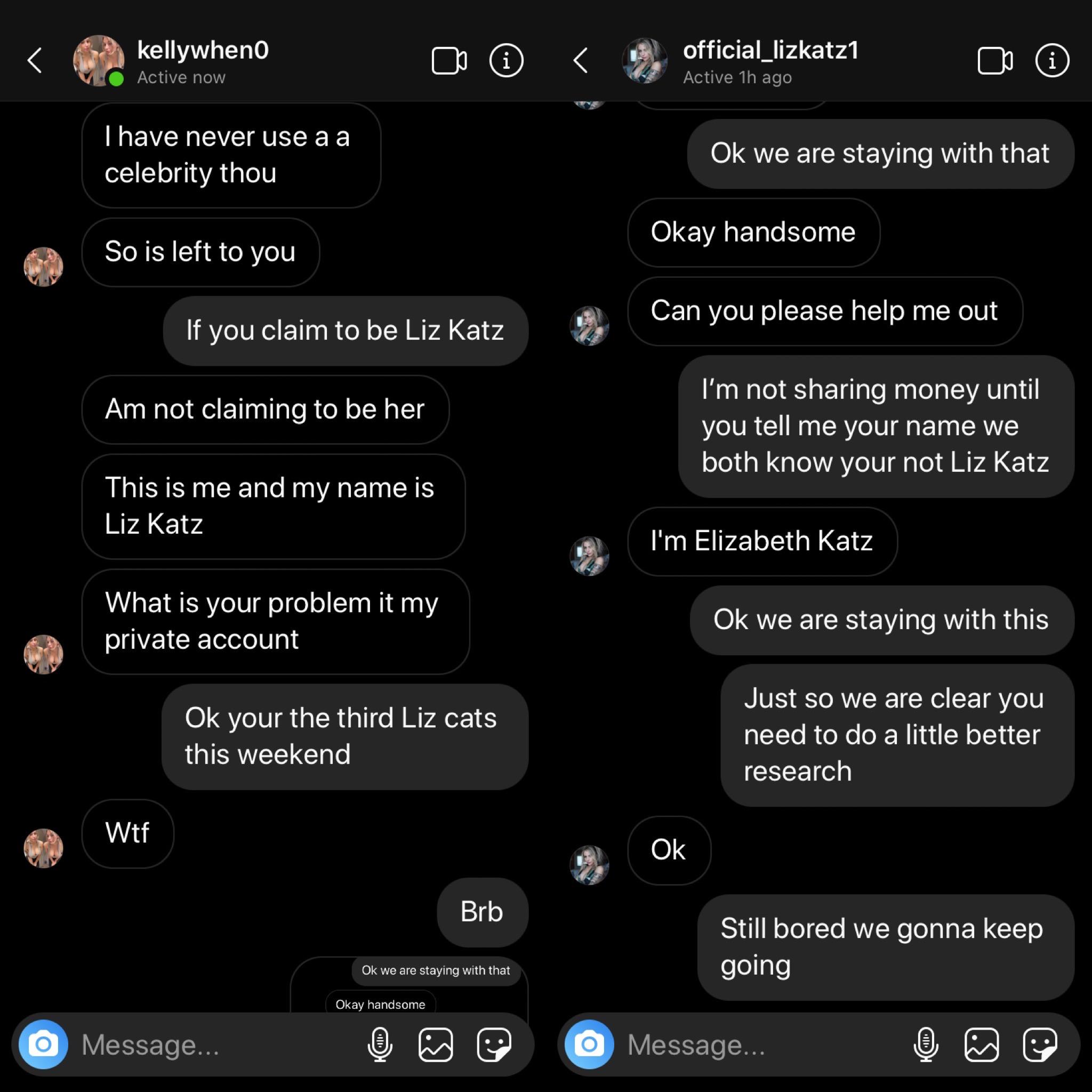 overview for lizkatzofficial