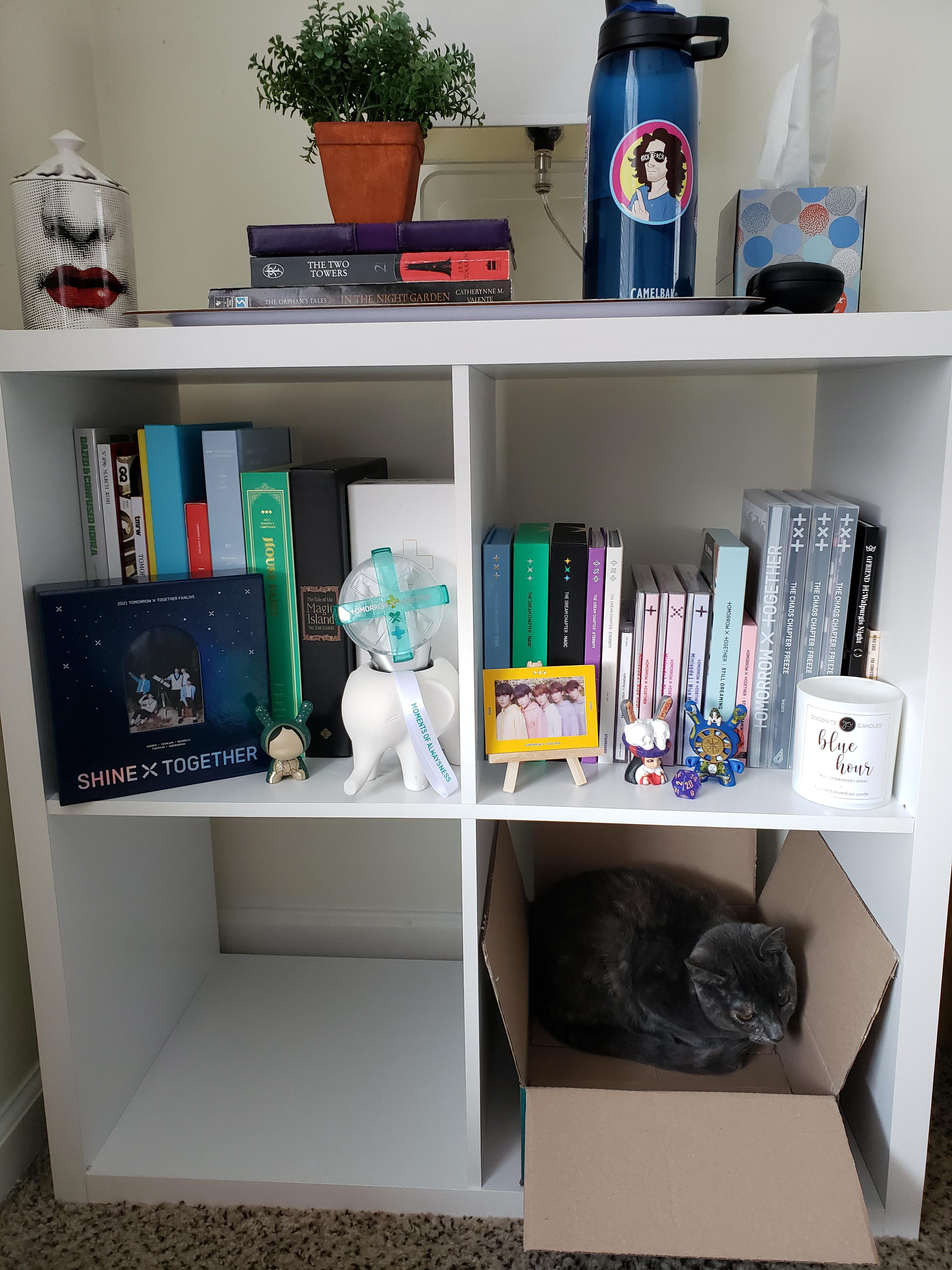 Had to get a new cube organizer/nightstand for my TXT collection since