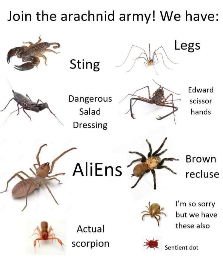 Cool names r/spiderbro