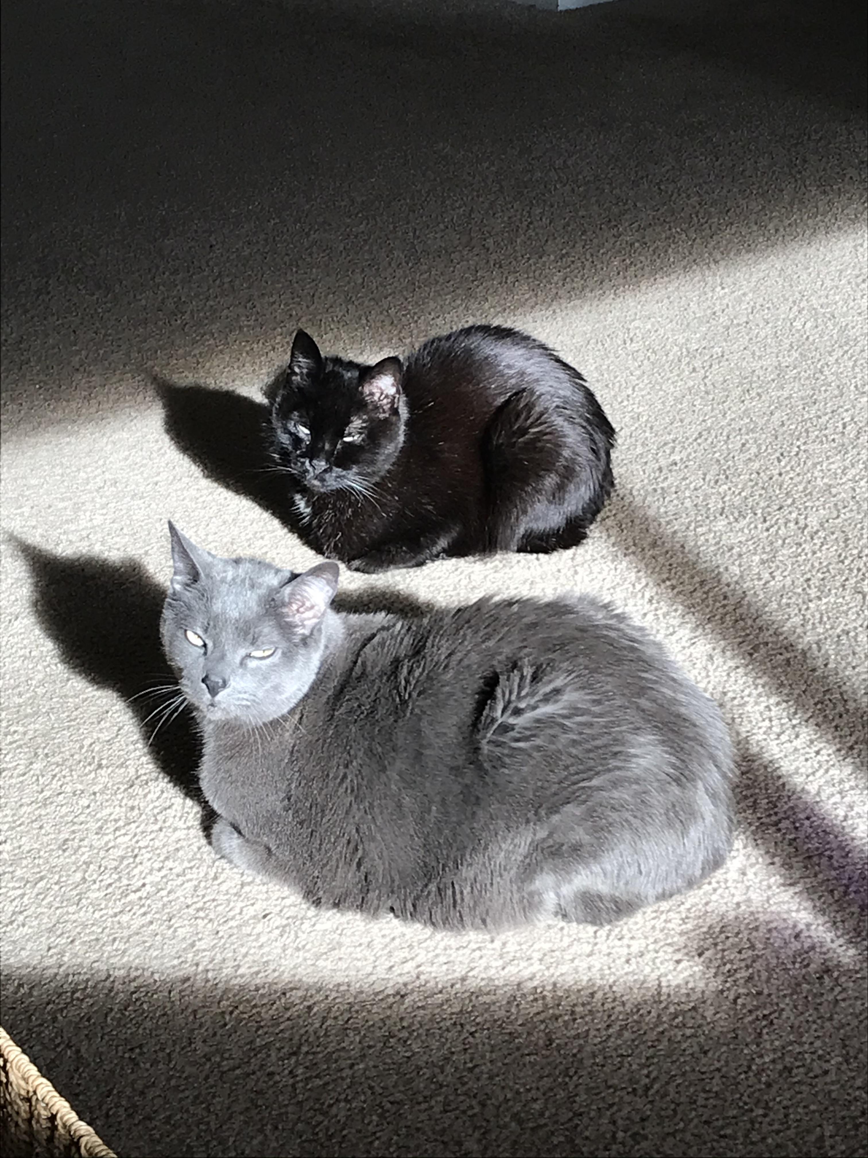 Saturday morning sunbathing r/Eyebleach
