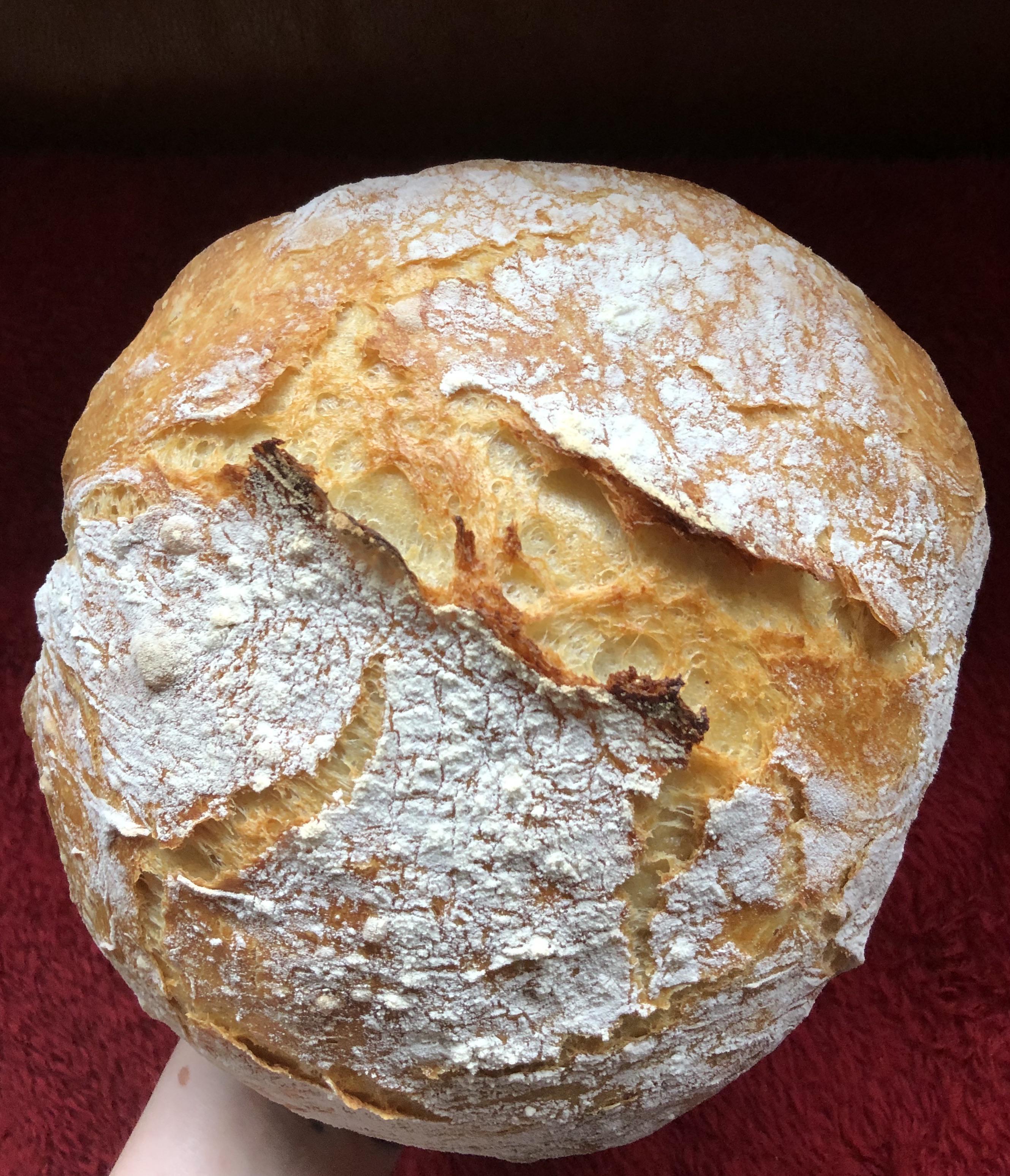 [Homemade] Dutch oven loaf r/food