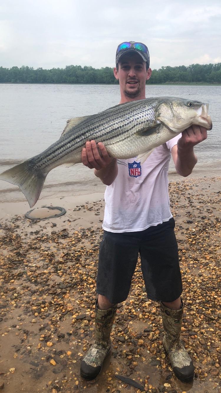 Late season 30” striper caught here on the Delaware River r/Fishing