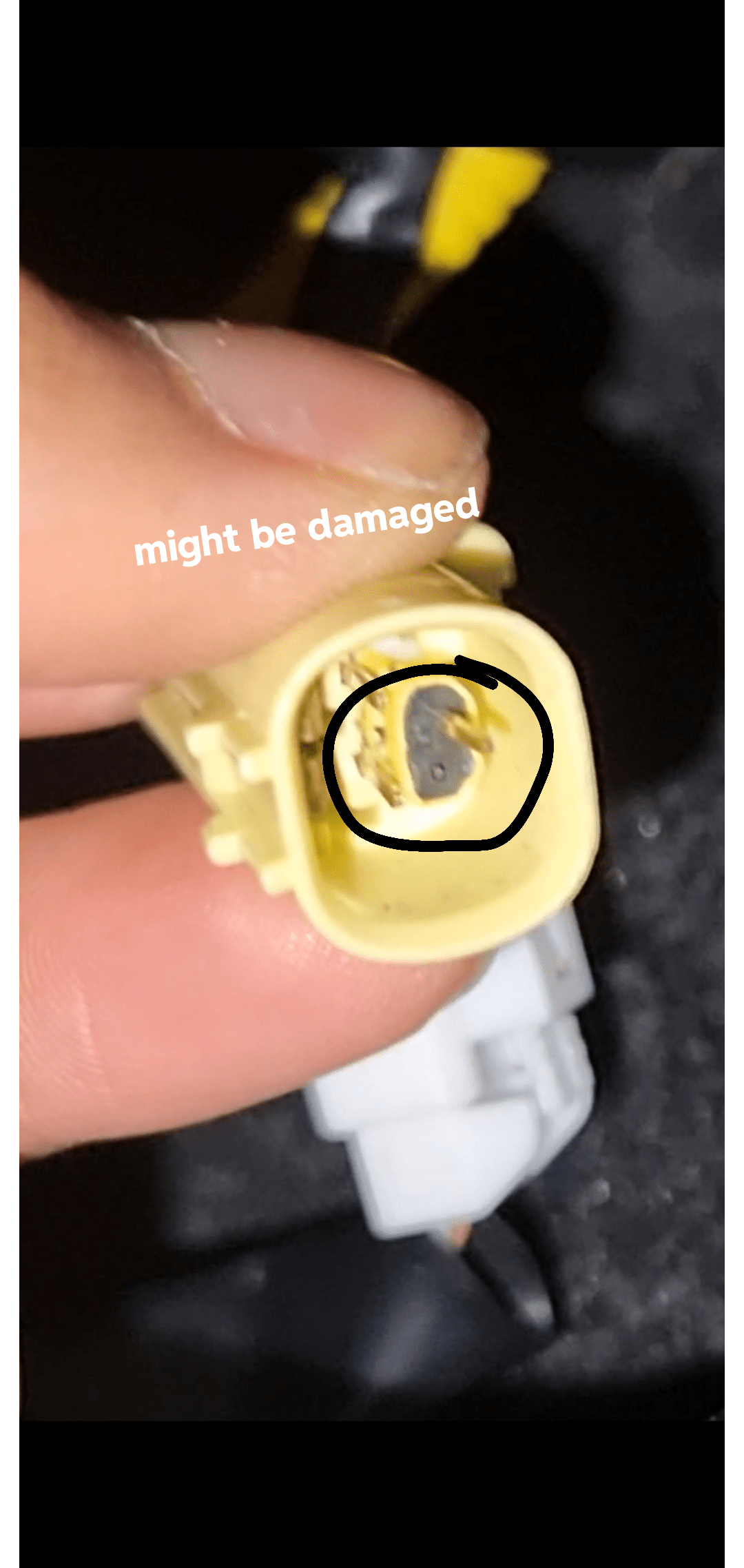 Airbag light on r/Suzuki