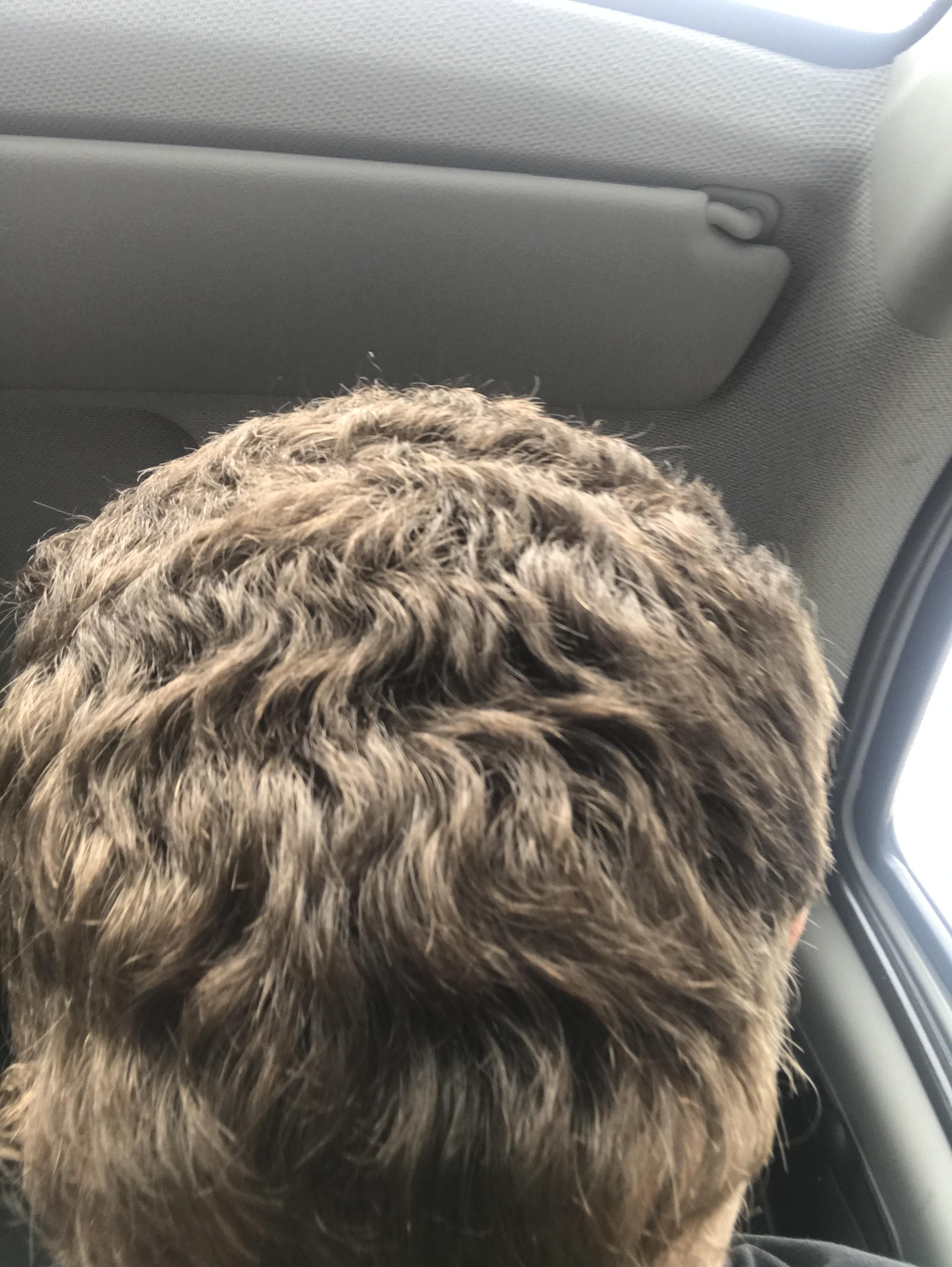 How do i make my hair less like straw. Barbers always say its REALLY