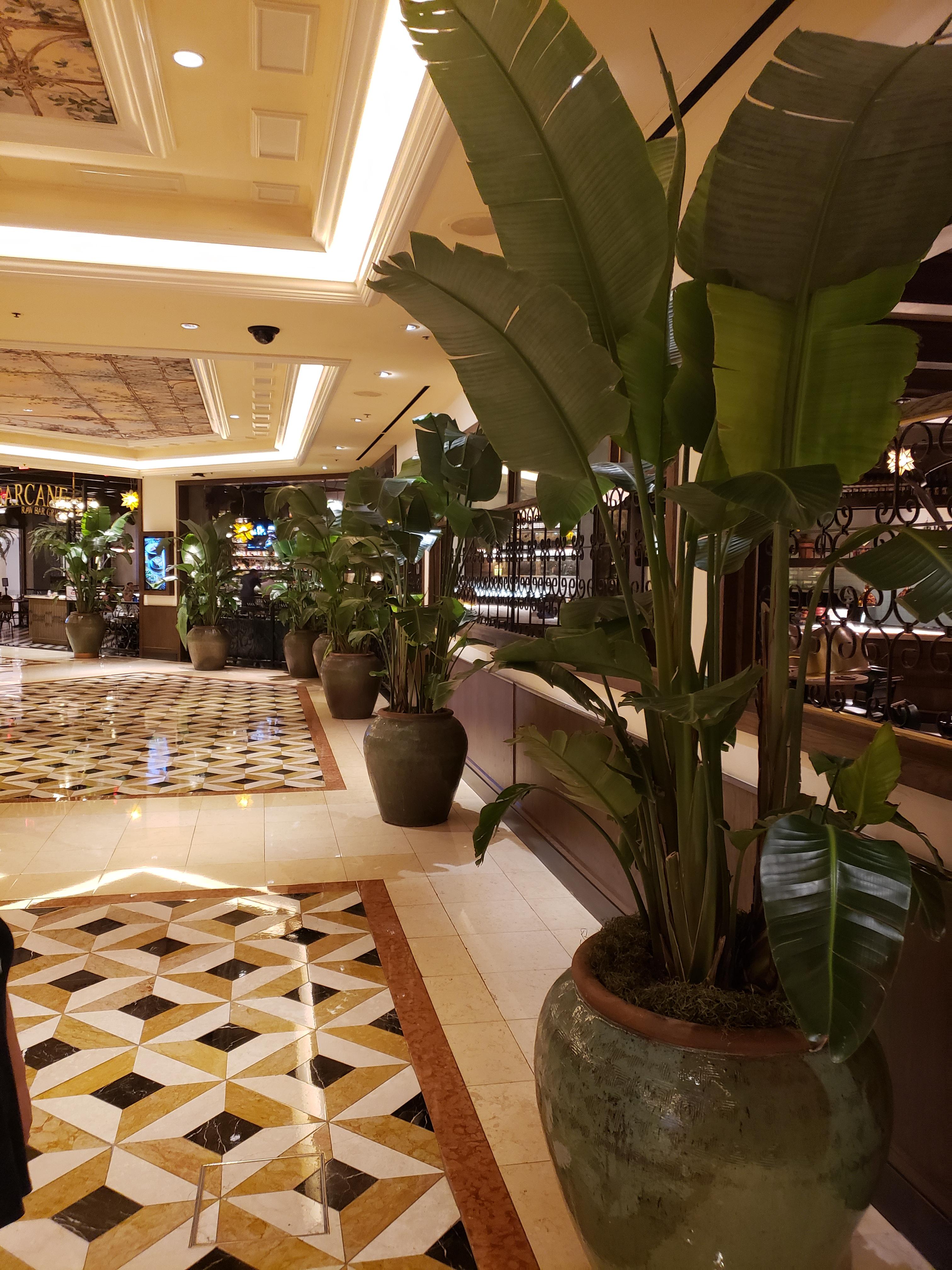 Loving these plants at The in Las Vegas. r/houseplants