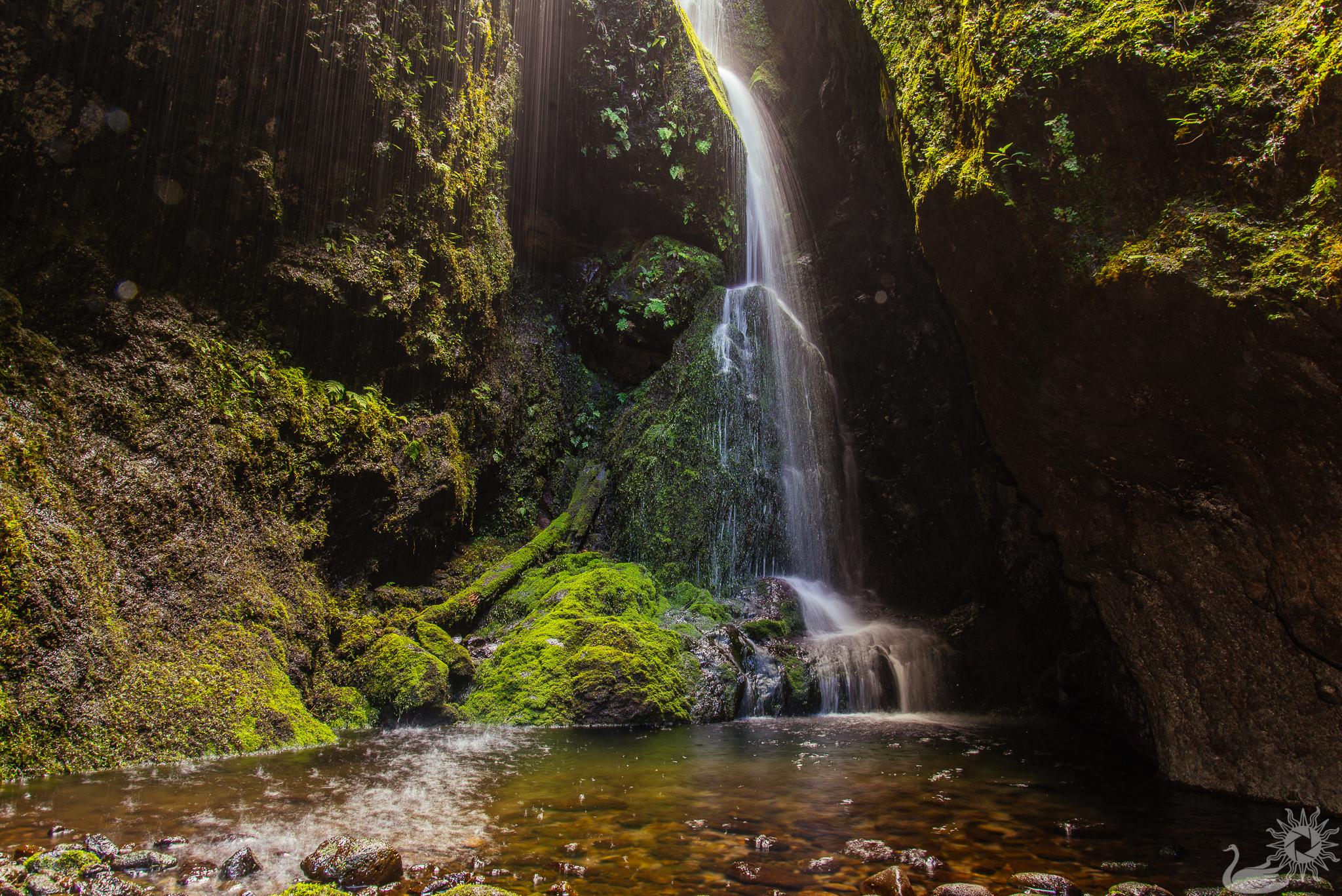 Hidden Grotto, Iao Valley, Maui. [OC] [2048 × 1367] r/EarthPorn