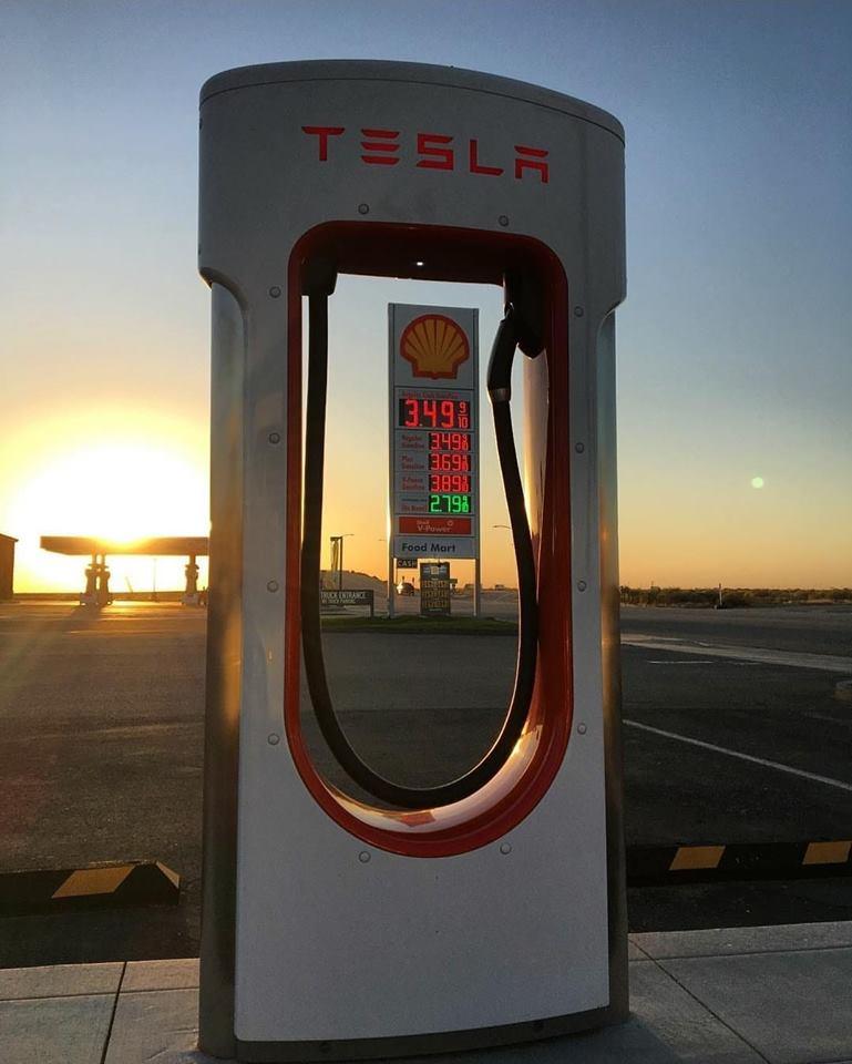 Tesla Stock Reddit Reddit trader claims 4.3 million gain on Tesla