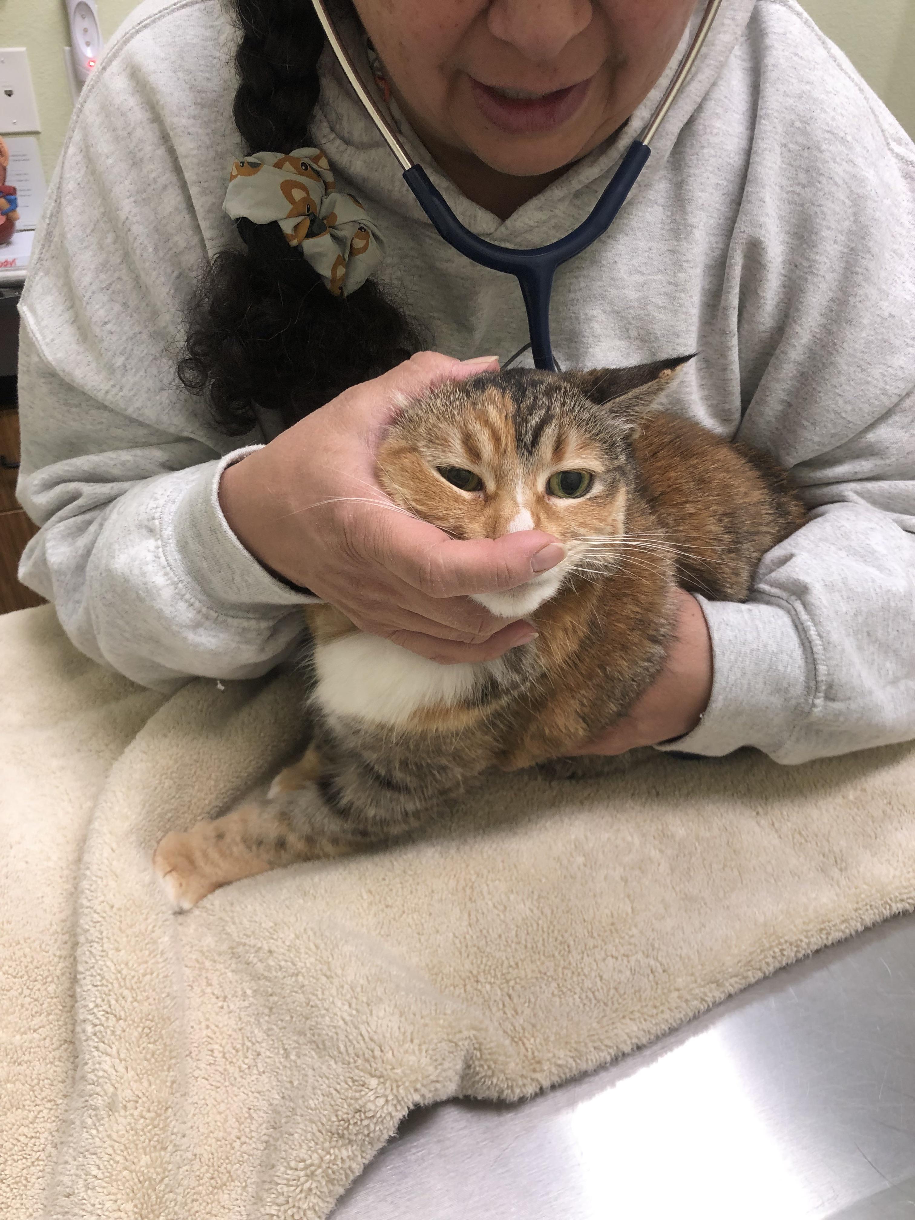 Health check boop r/boop