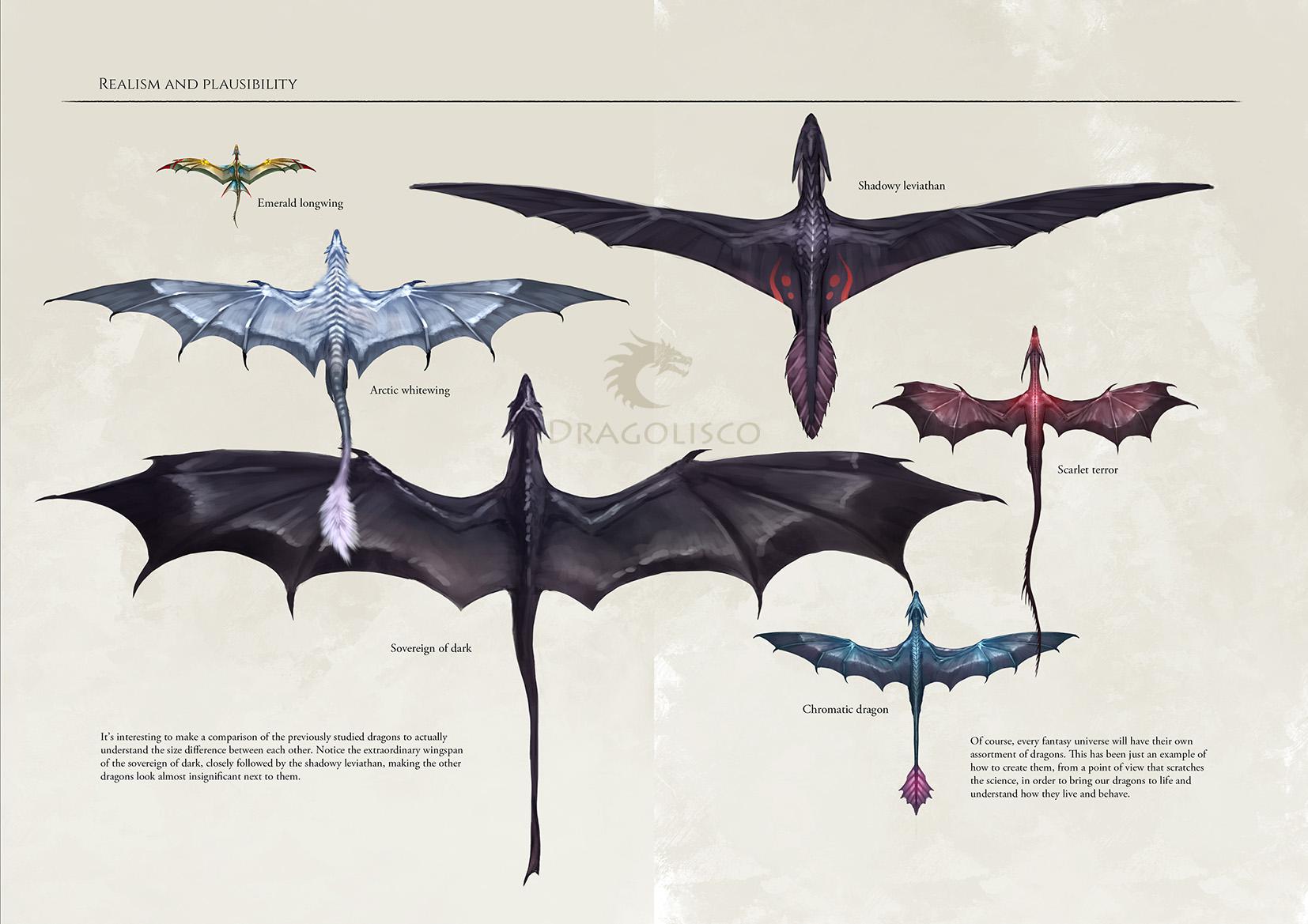 Dragon wings comparison. Page from a dragon artbook I'm releasing on