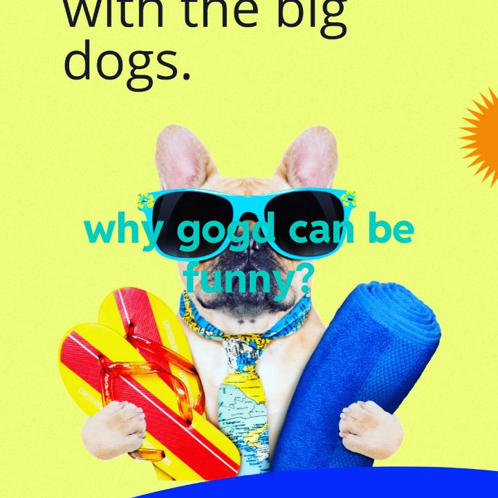 why dogs can be finny r/Funnypics