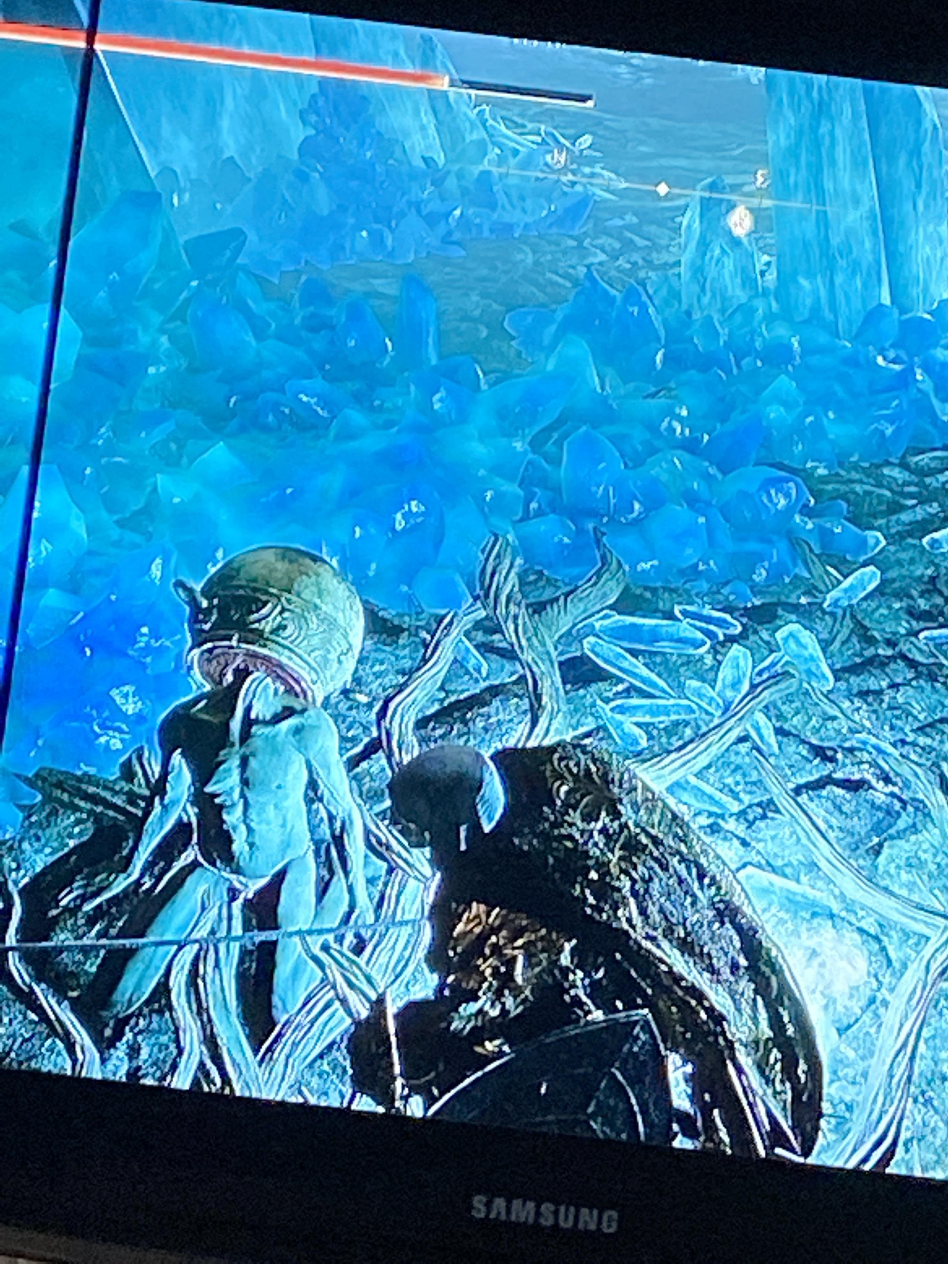 LetMeSoloHer is one of Seluvis’s puppets?😭 Eldenring