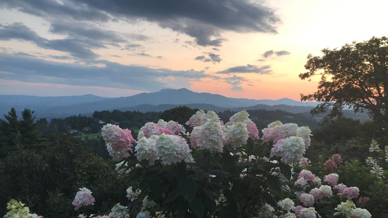 Sunset back home in Boone, NC r/Outdoors