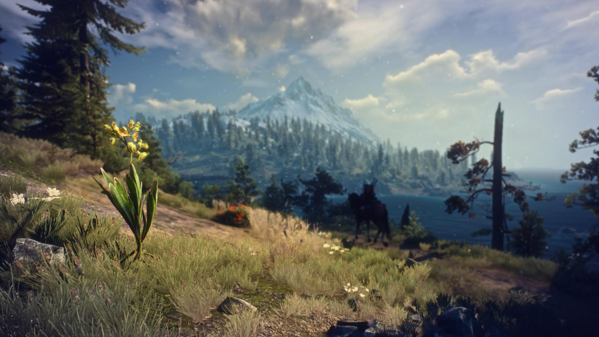 Sometimes a flower is just a flower... And the best thing it can do for