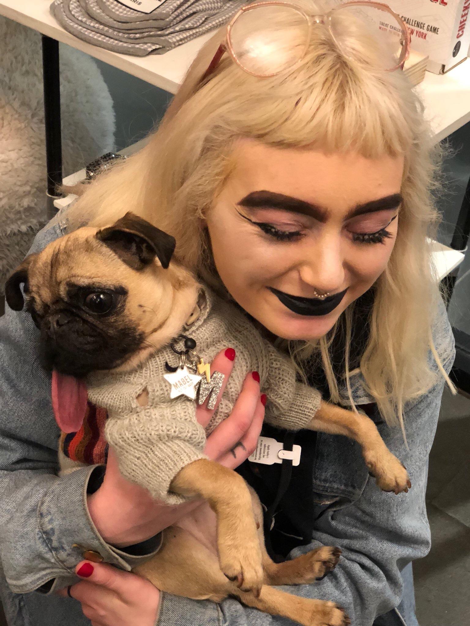 even the dog knows they are awful r/awfuleyebrows