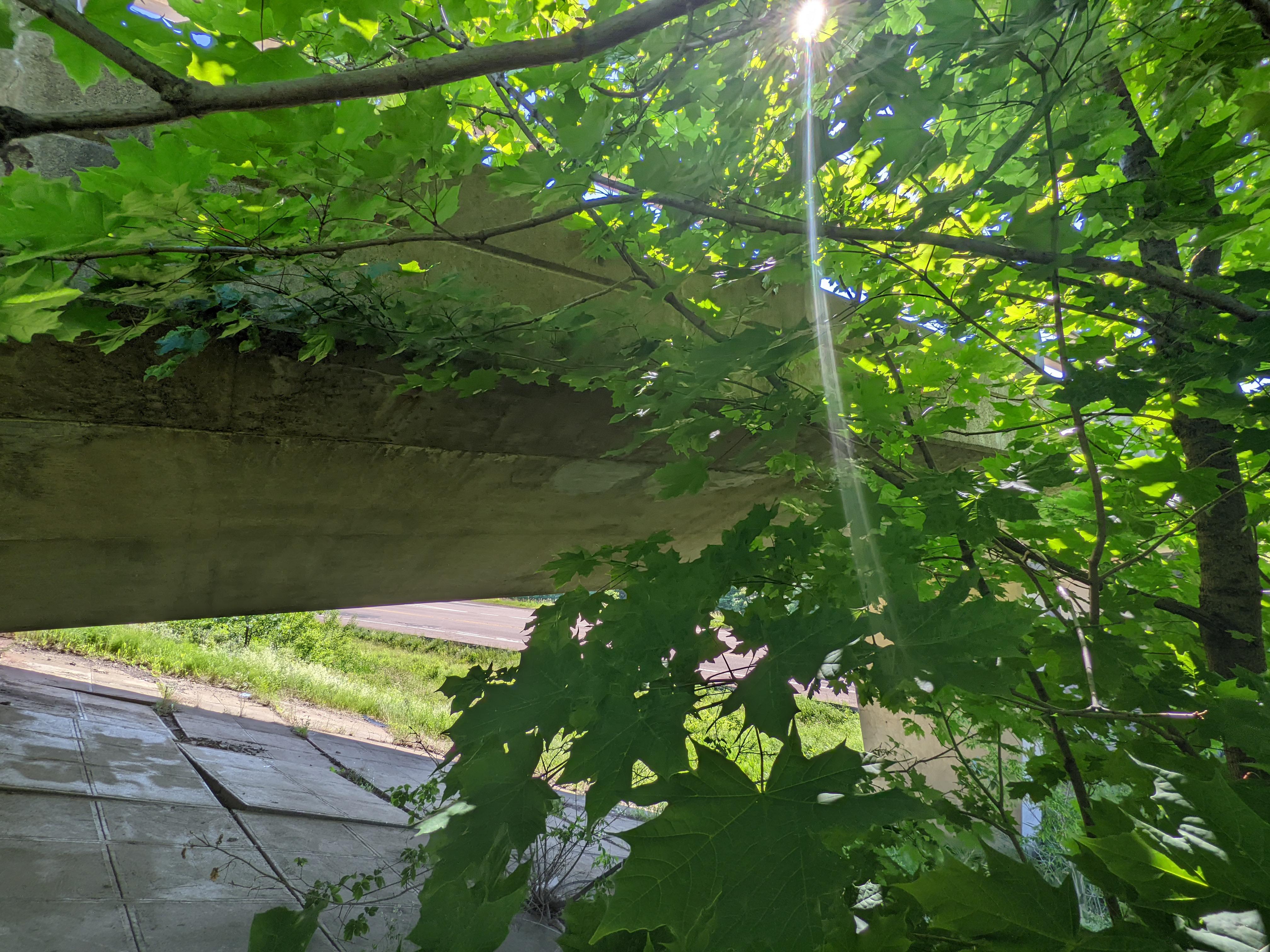 Berry Mills Road, Westmorland County. moncton