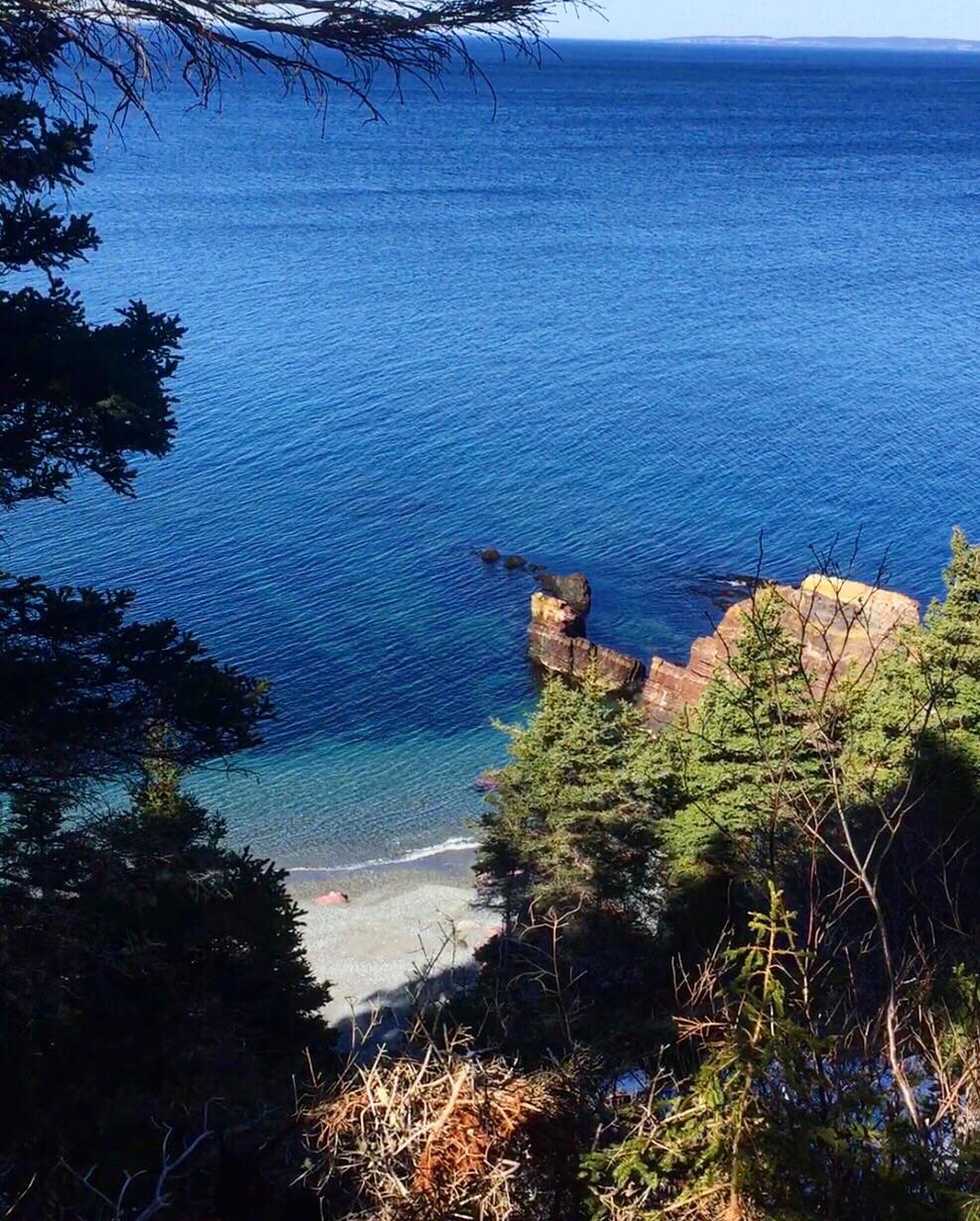 Chapel’s cove NL r/newfoundland