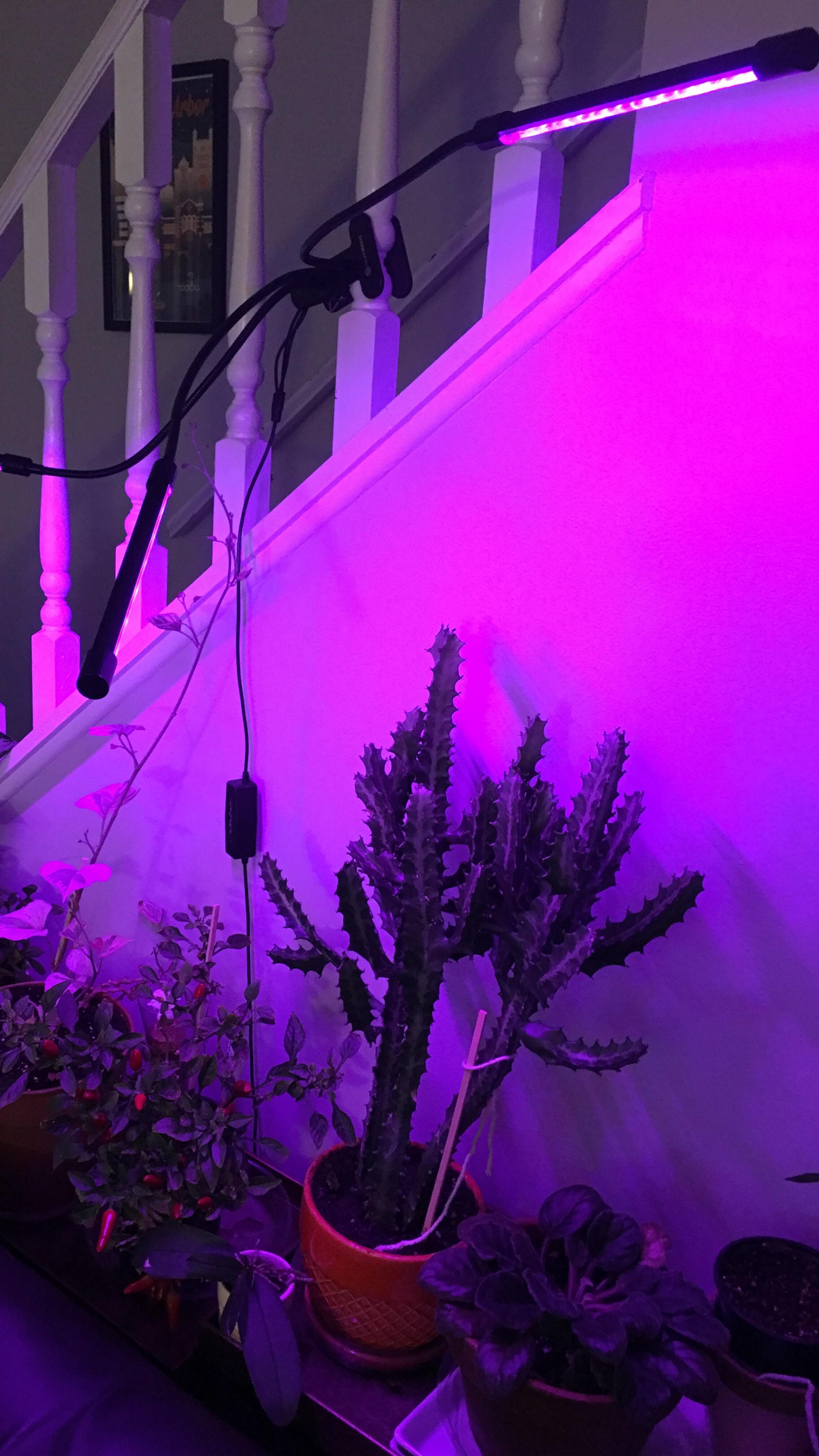 Does anyone know if these low wattage grow lights are harmful to humans
