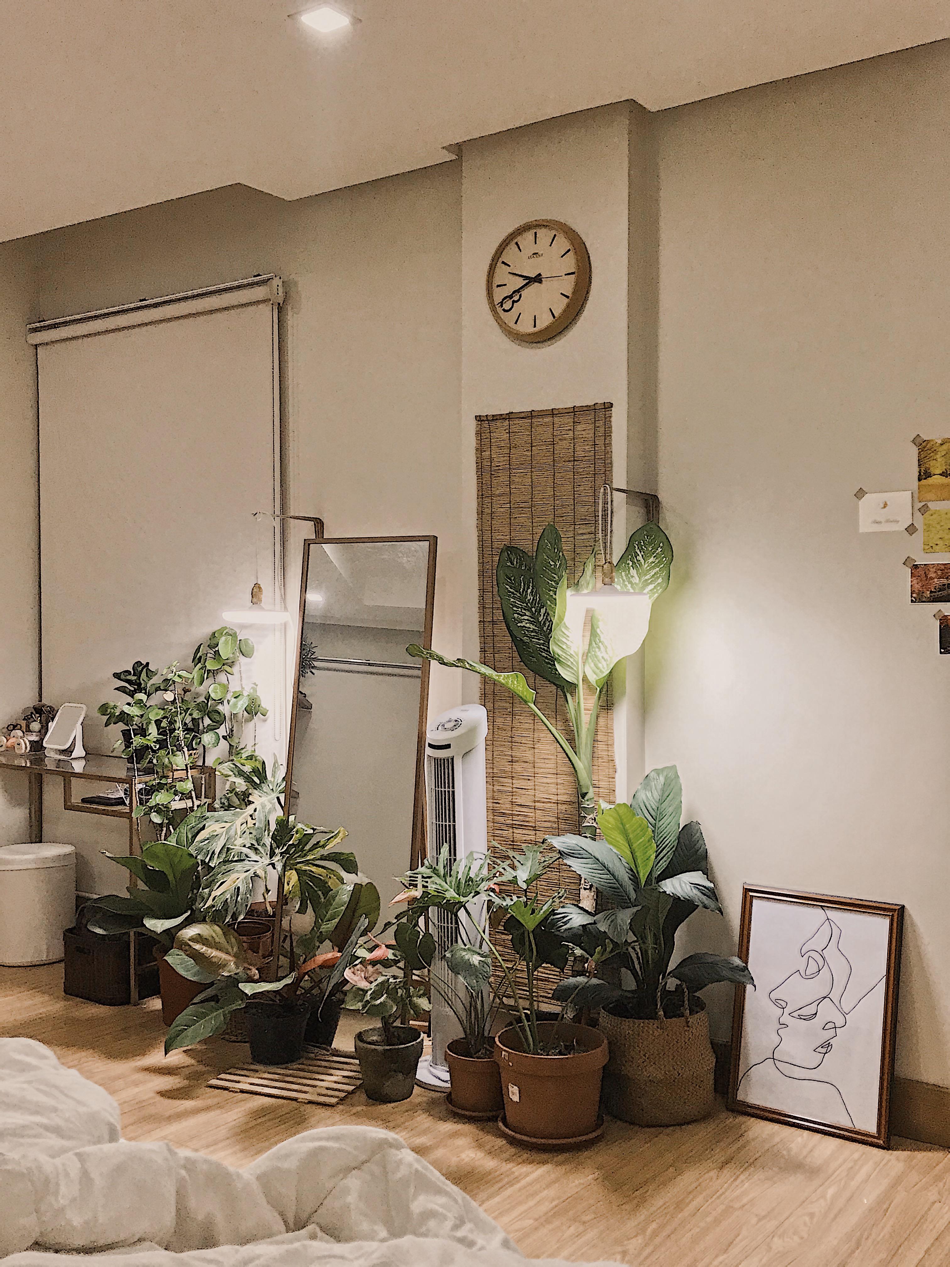 Grow light sconces! Now more plants can live inside my bedroom huhu. It