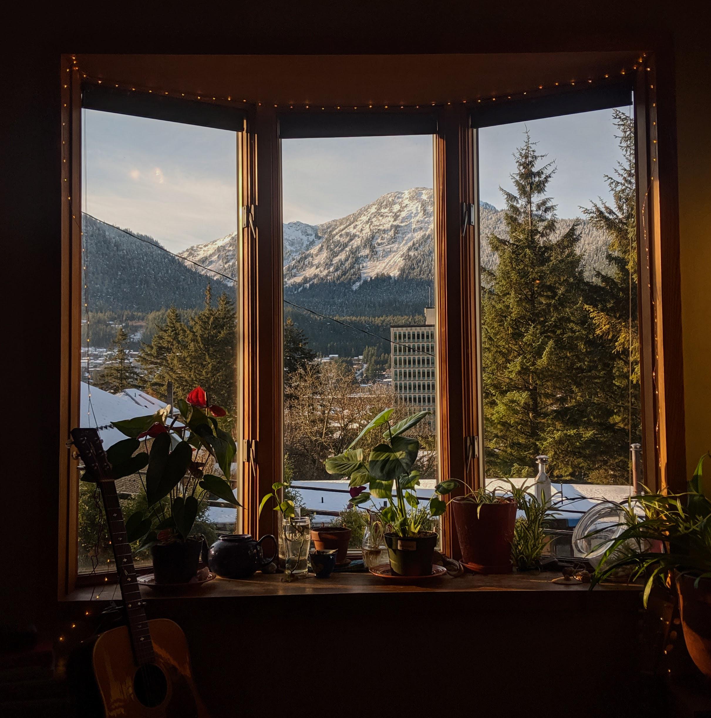 View from our living room Juneau, Alaska r/CozyPlaces