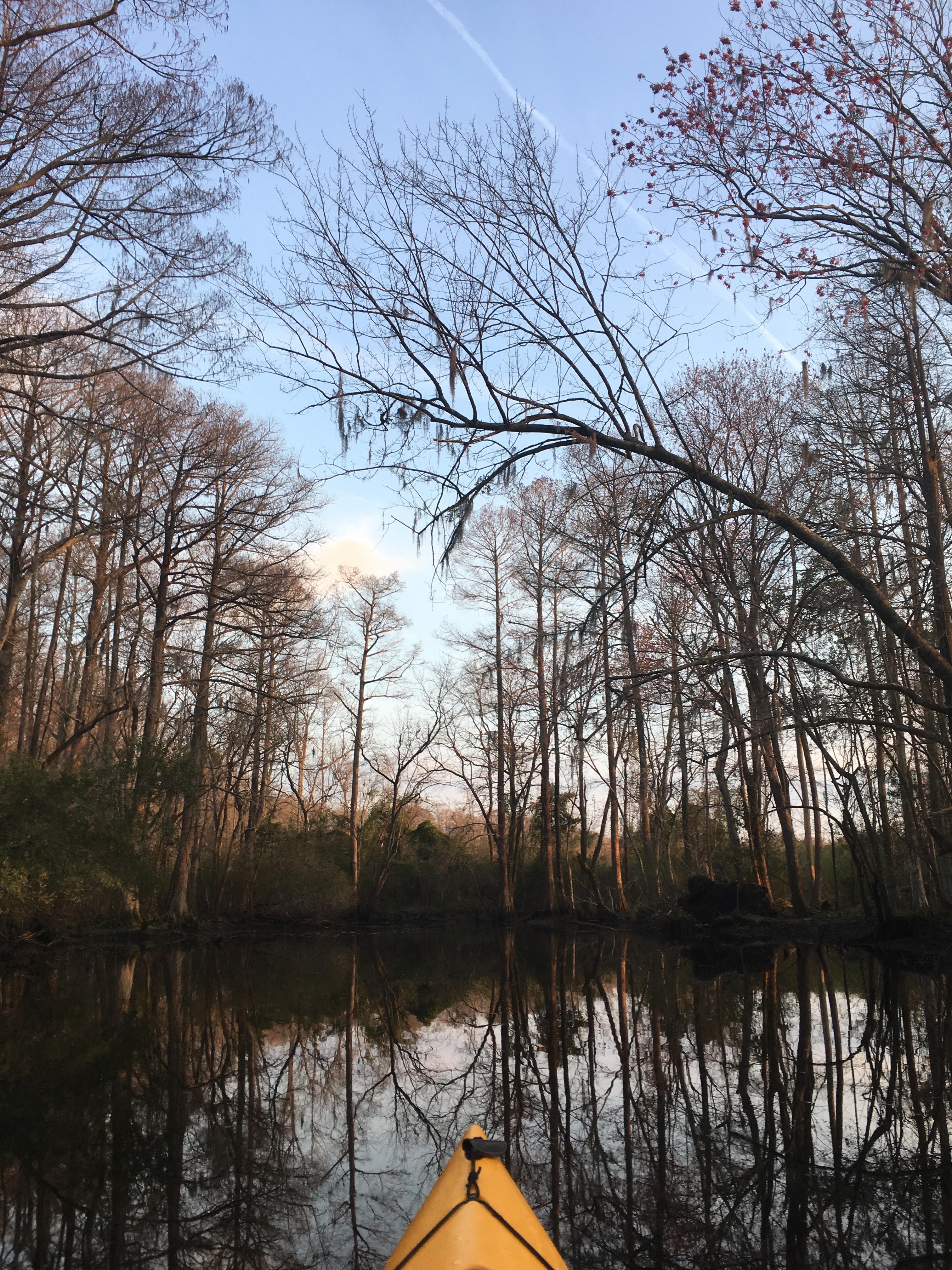 Paddling Around Eastern NC r/Kayaking