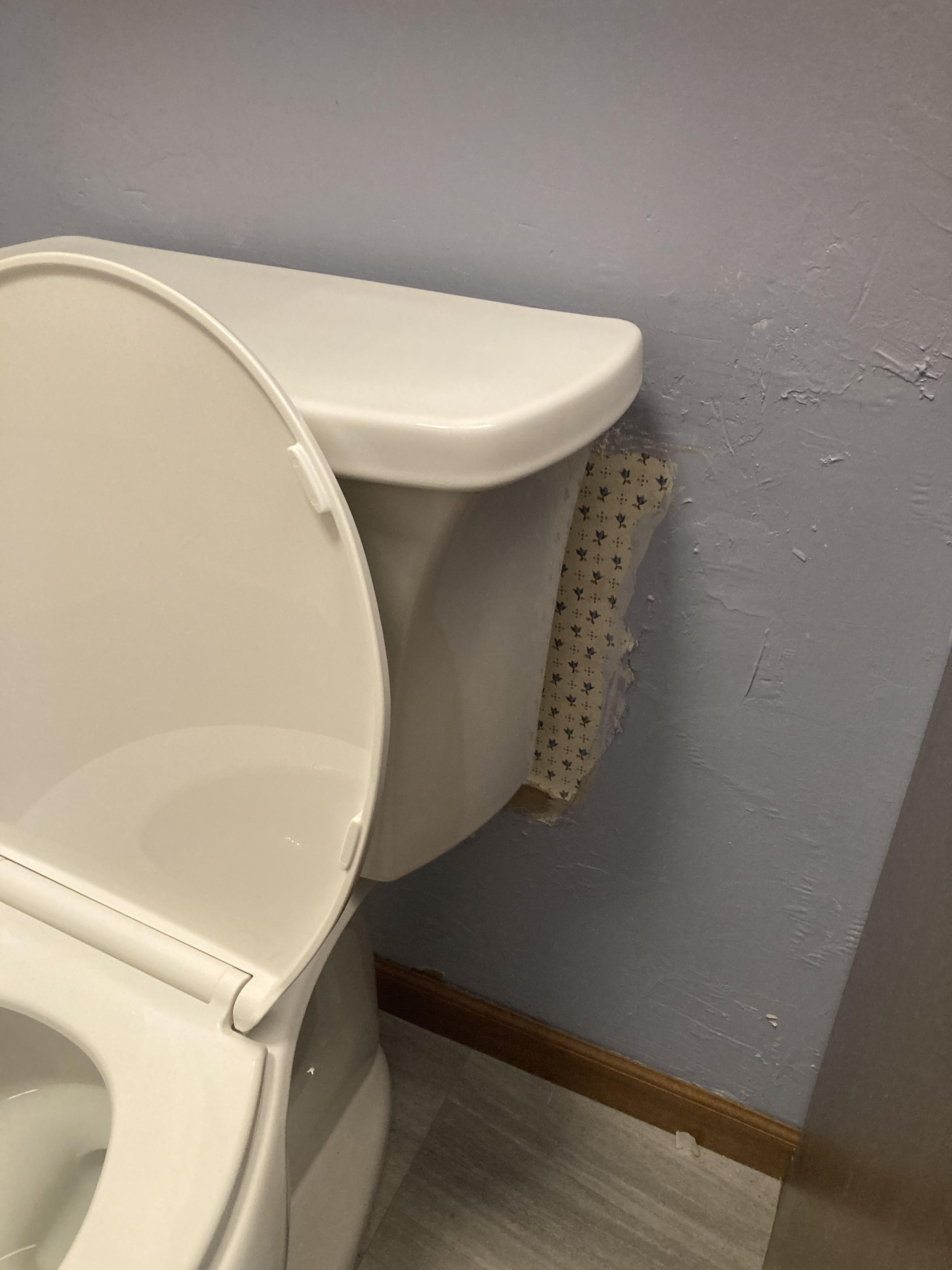 Replaced our toilet today only to find this lurking behind it... and