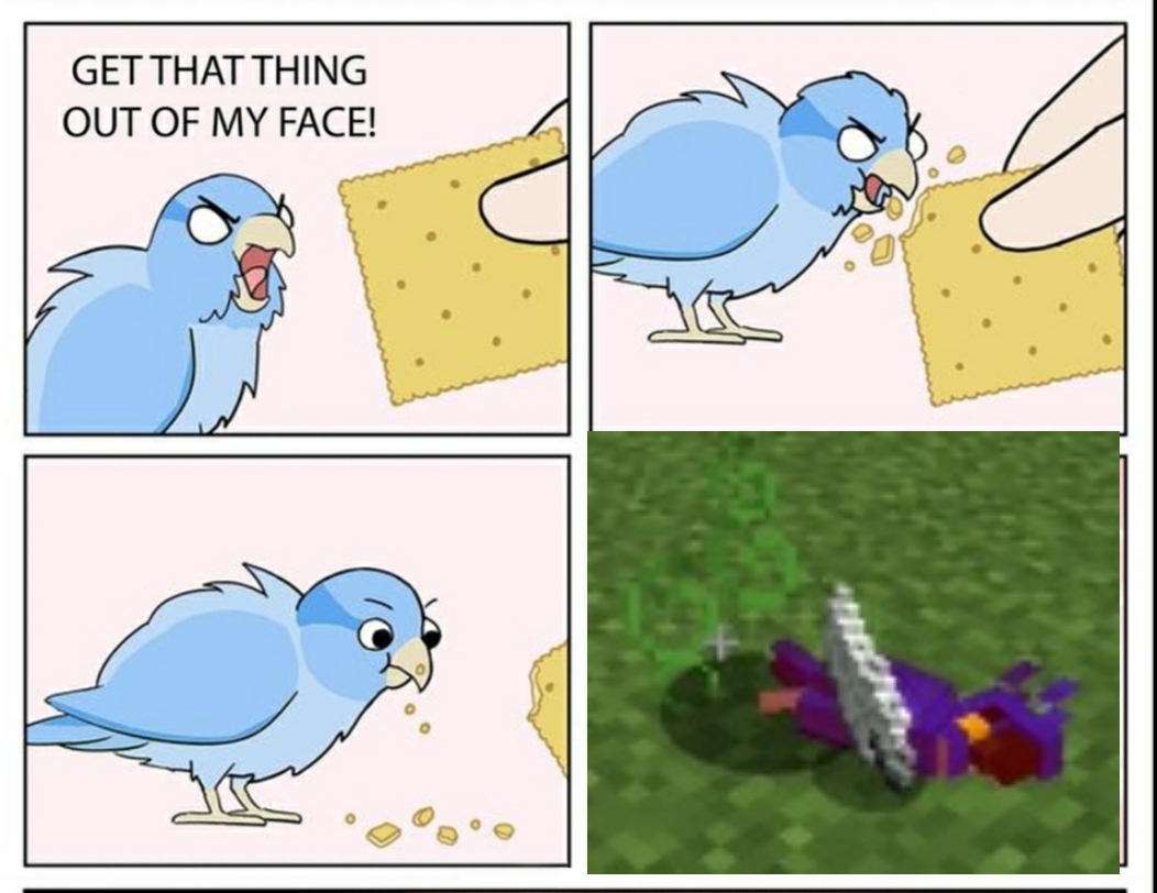 Never feed biscuit to a parrot r/MinecraftMemes