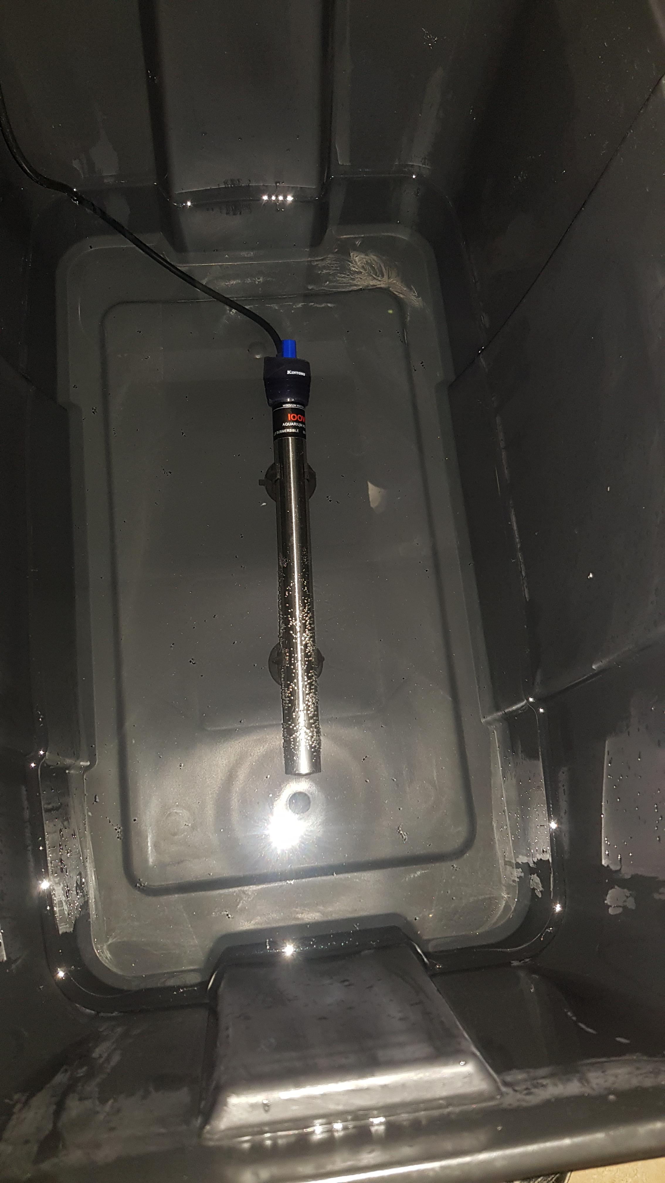 [GENERAL] Those with aquarium heater incubators, How often do you