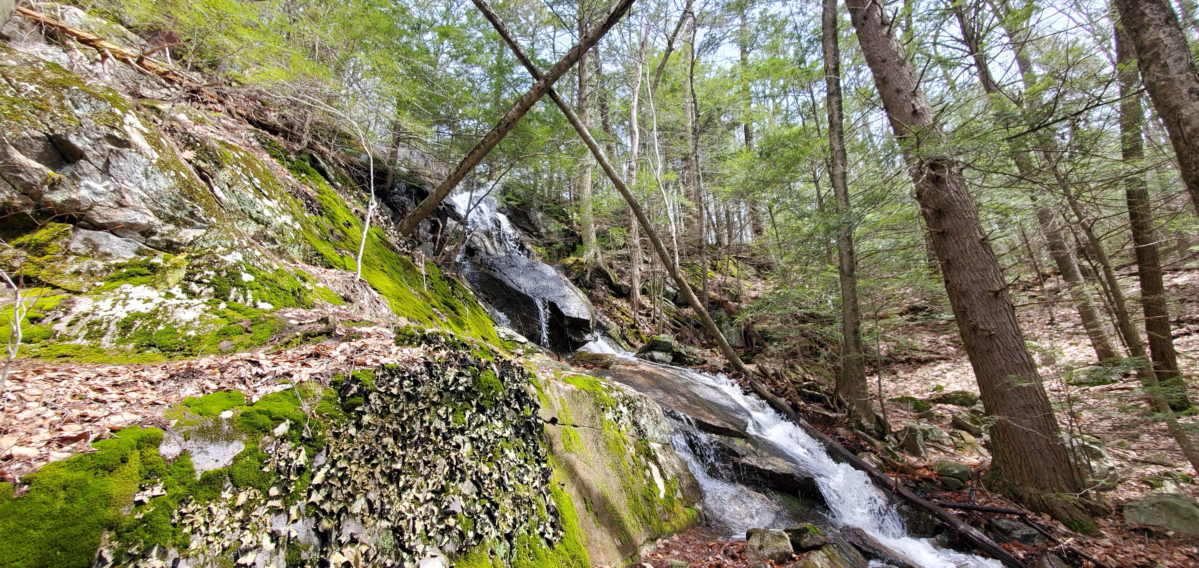 People's State Forest, Barkhamsted r/Connecticut
