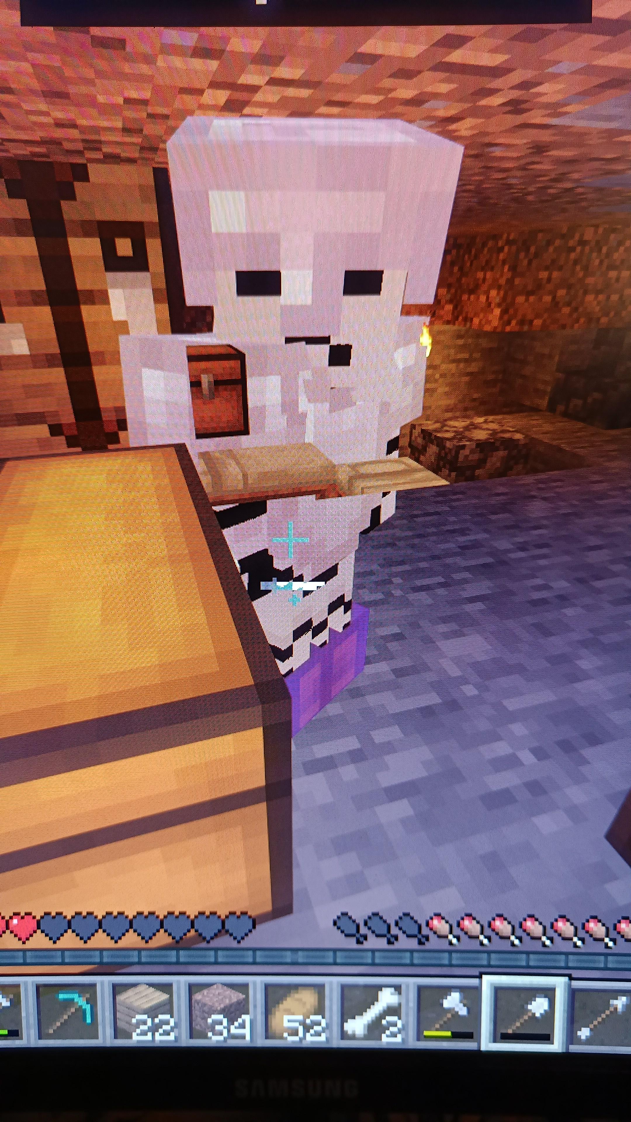 why can I see beds, chests and Bells through my friend? r/Minecraft