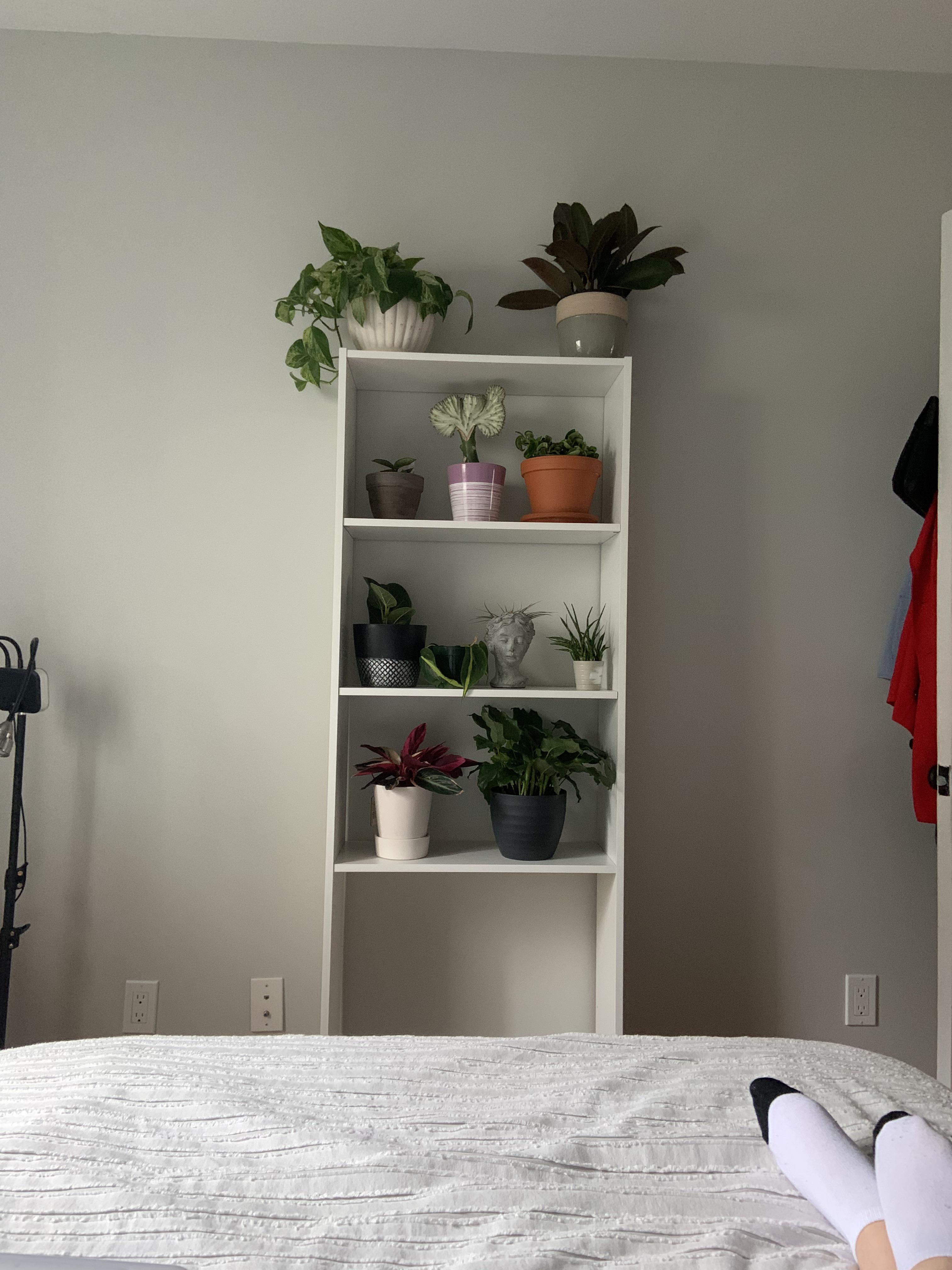 New plant shelf! Any suggestions for grow lights? r/houseplants