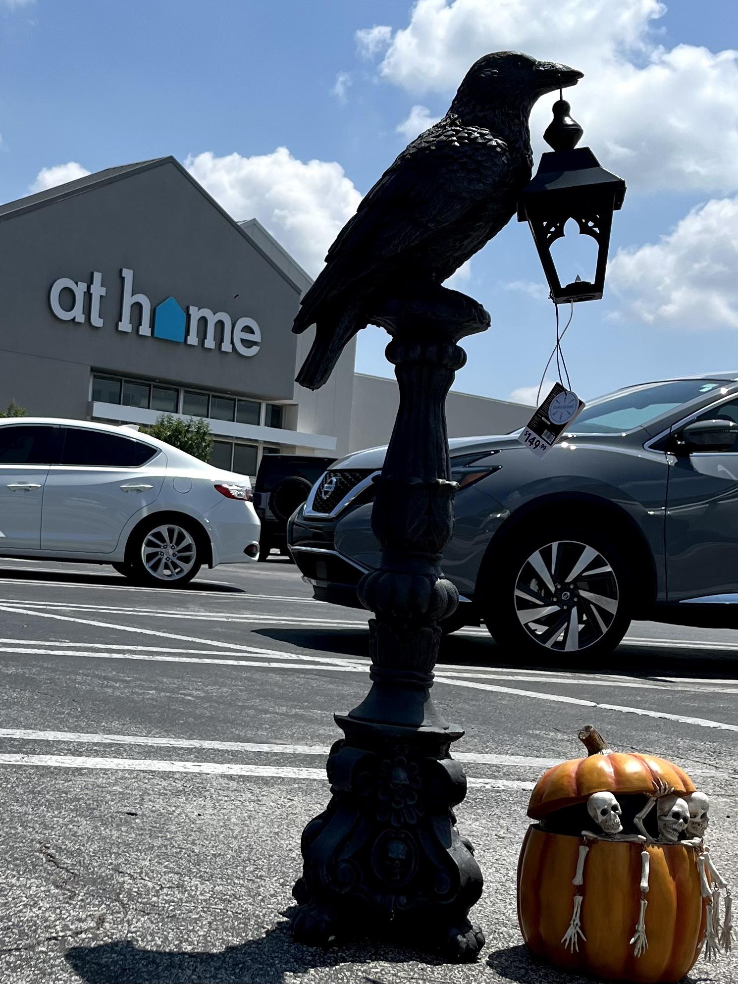 At Home has started putting out Halloween decor r/halloween