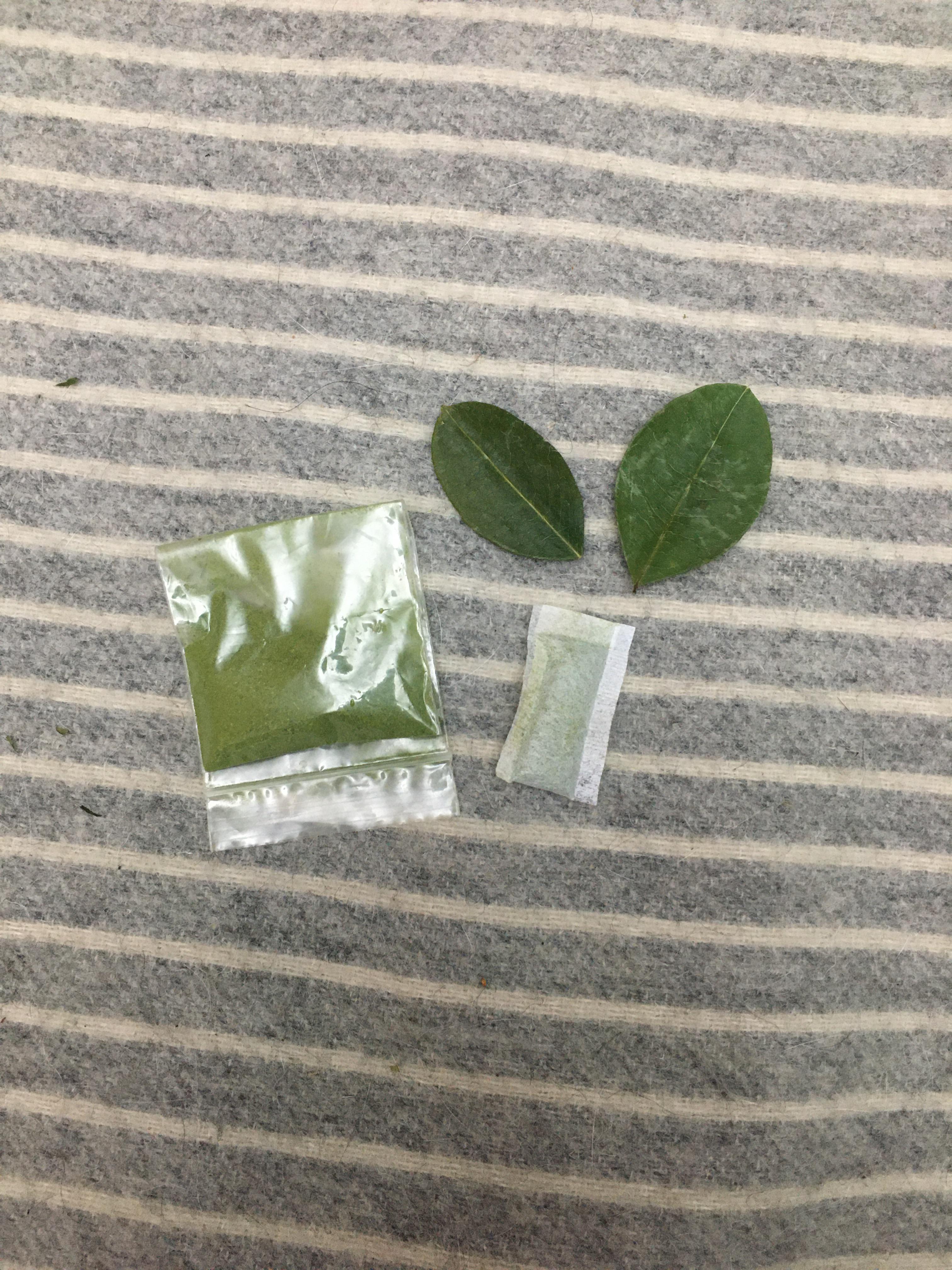 Coca leaf snus r/Snus