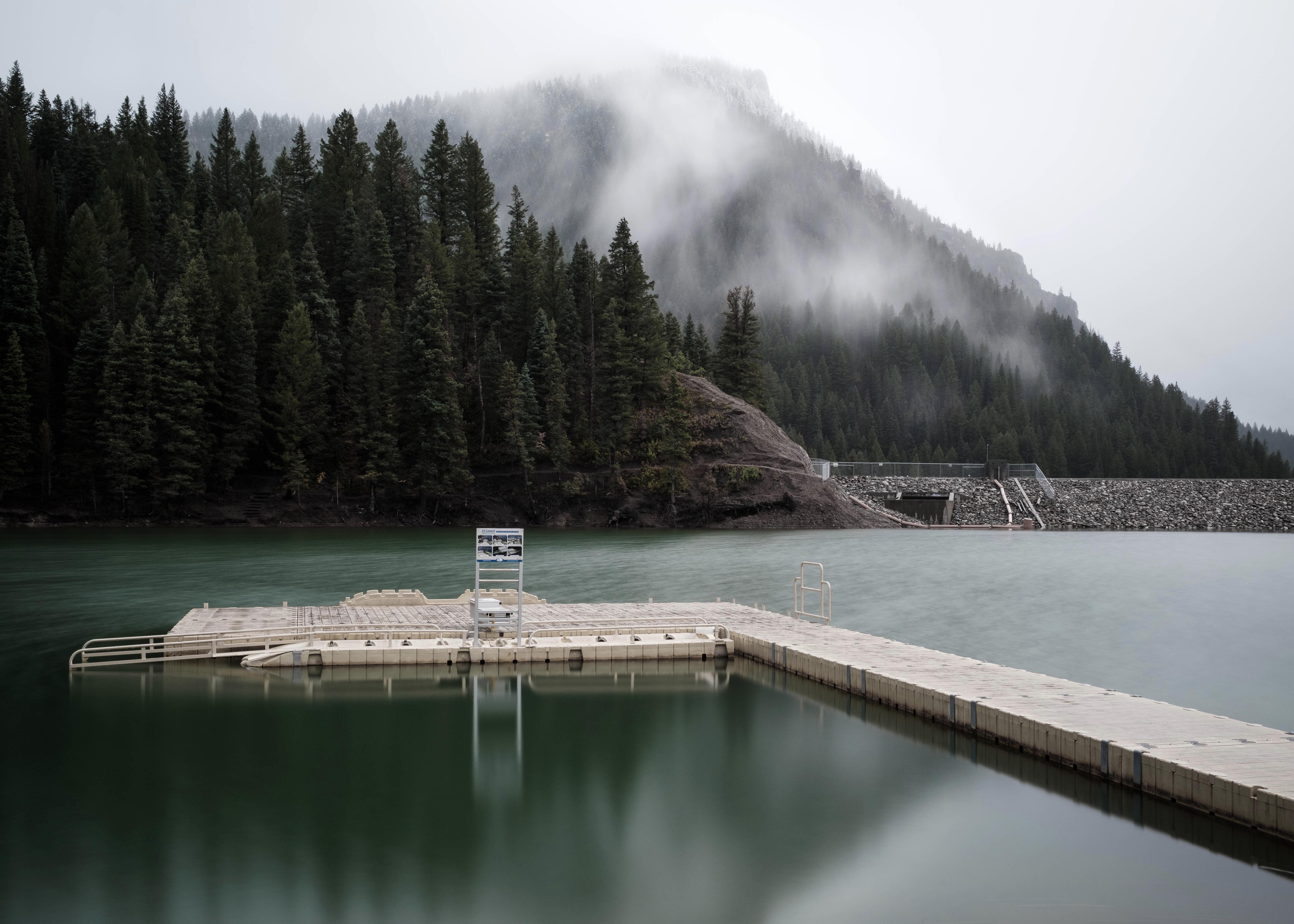 Reddit Dive into anything