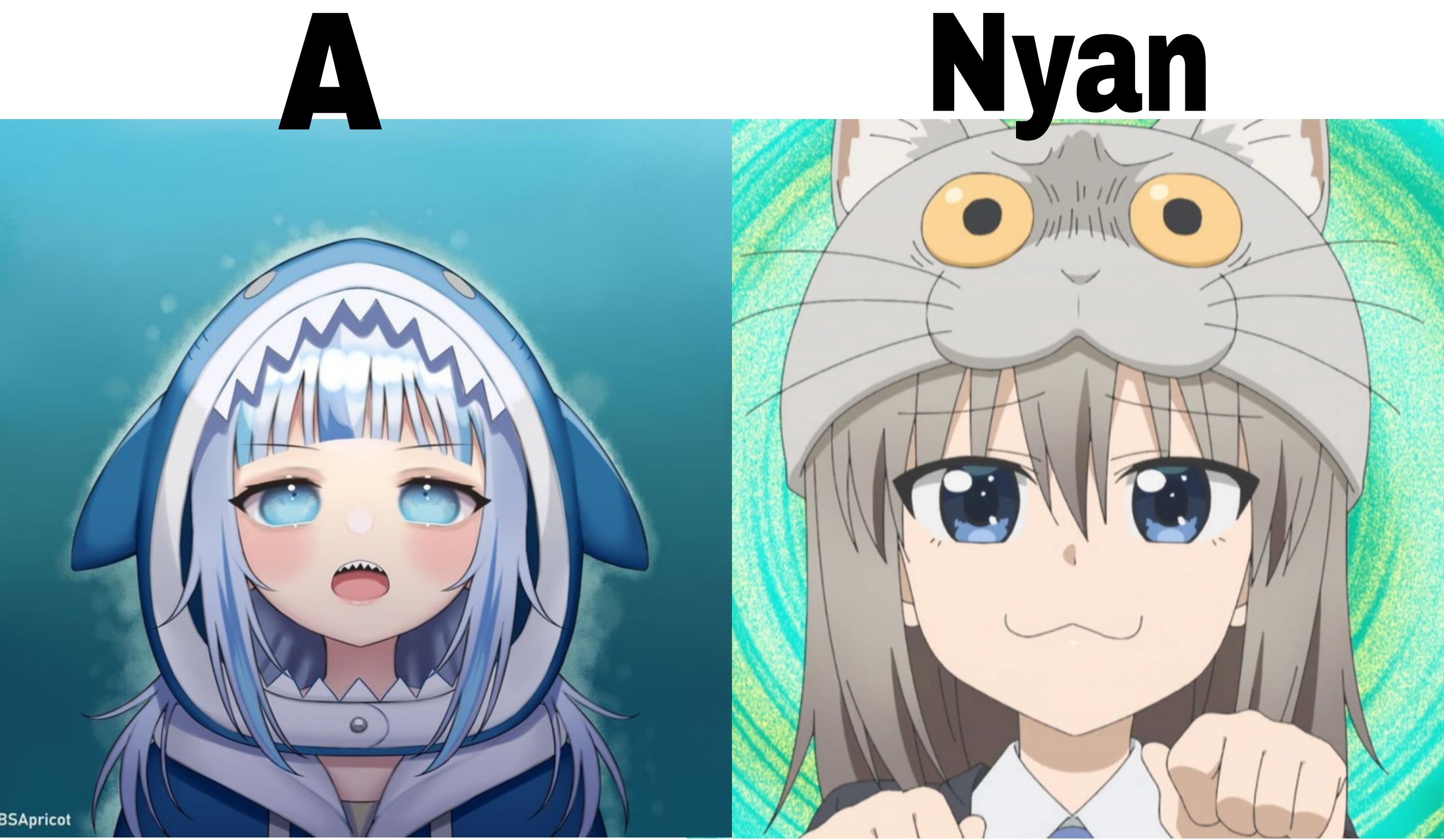 Sharks and Cats r/goodanimemes