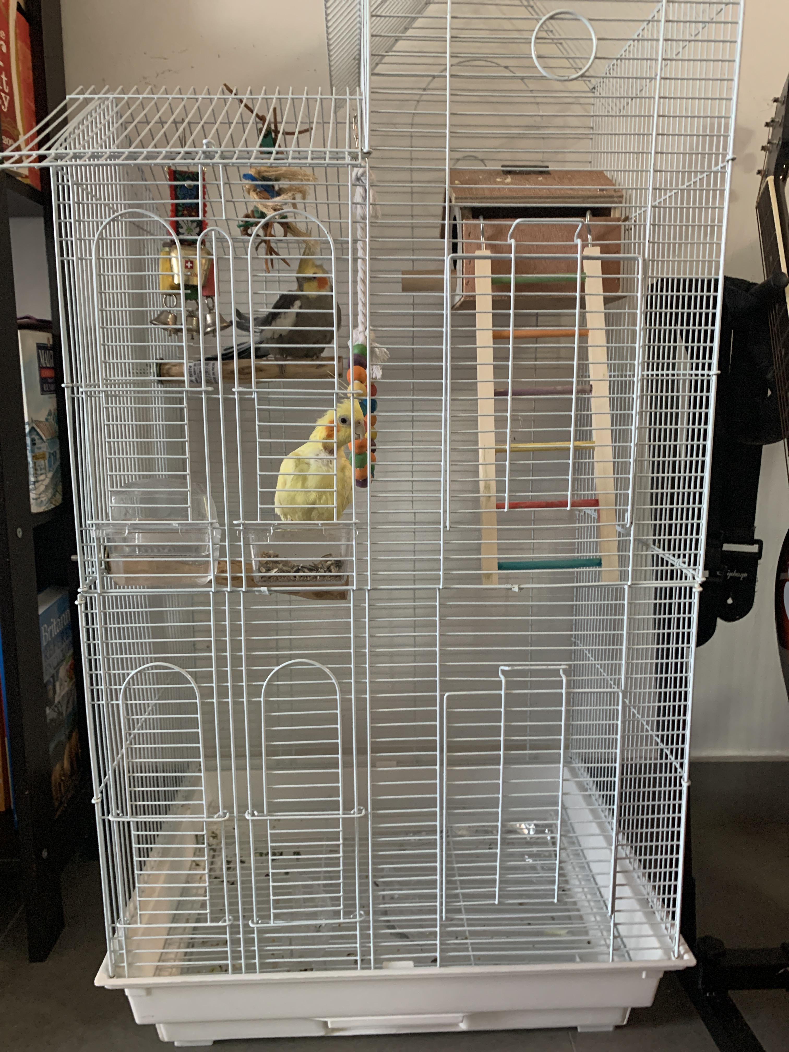 Rate my cage setup? My birds don’t like me but at least their cage is