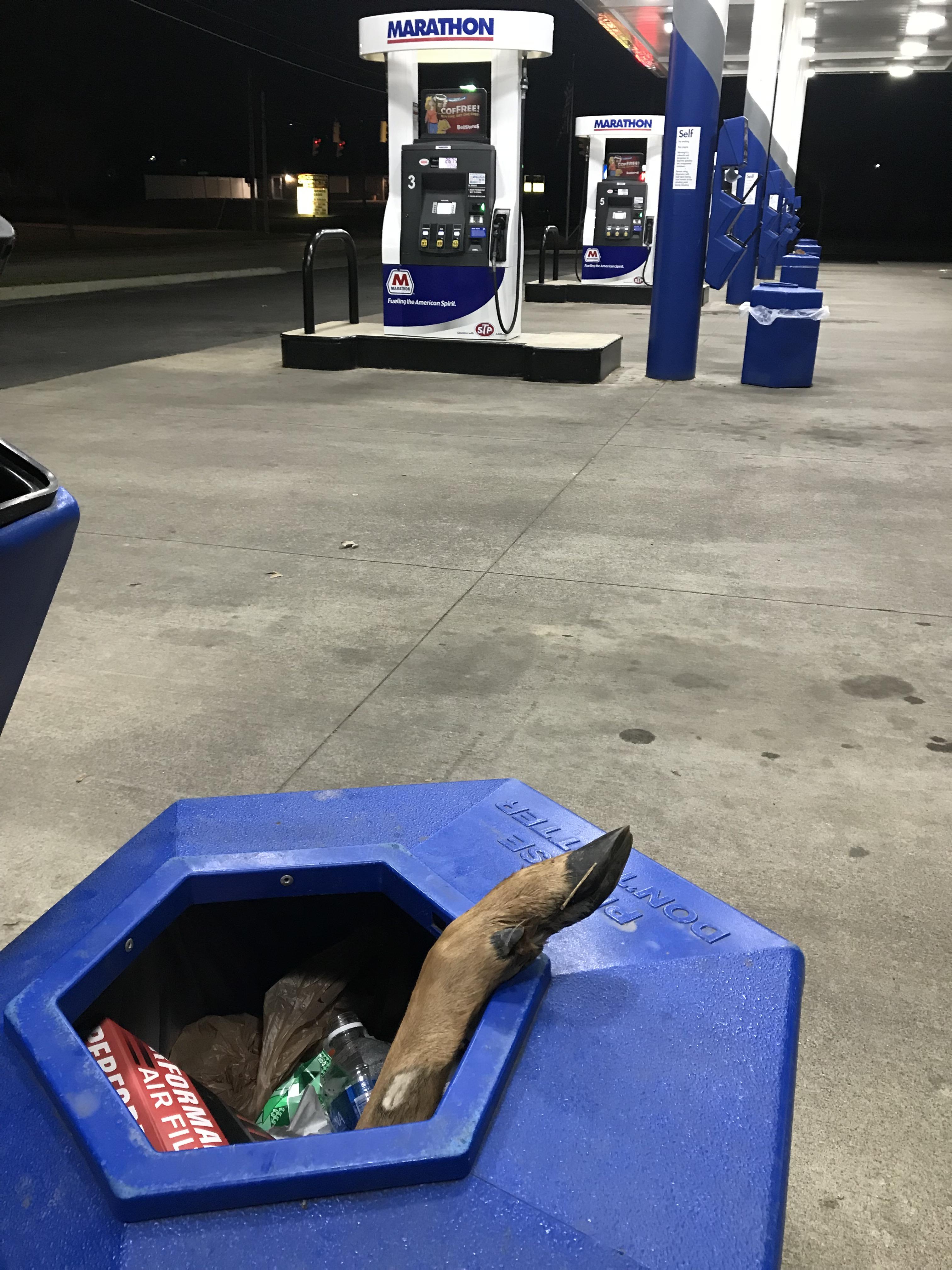 Filling up my gas tank, when all of a sudden... r/WTF